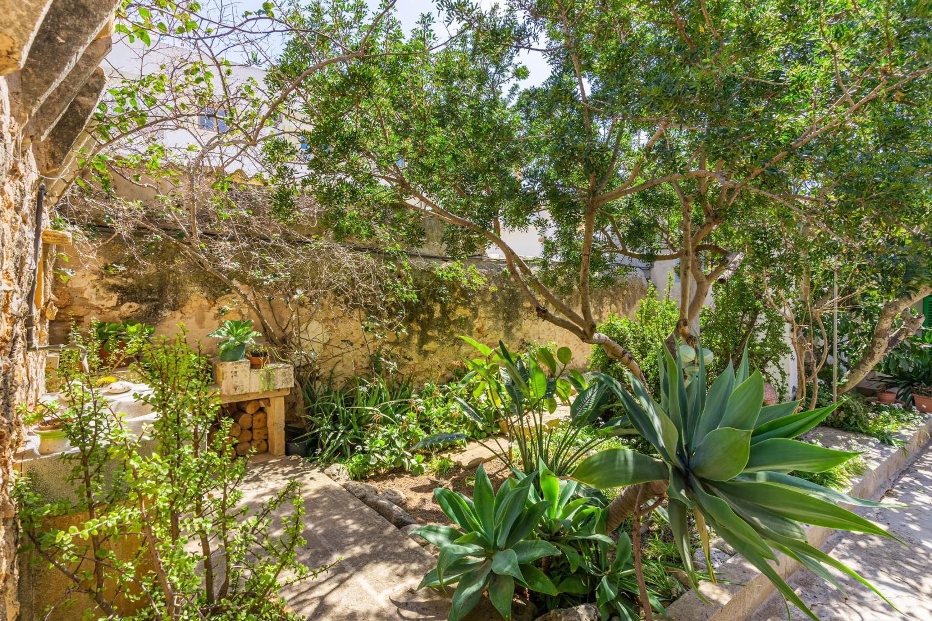 Miramar Sa Rapita photo 4