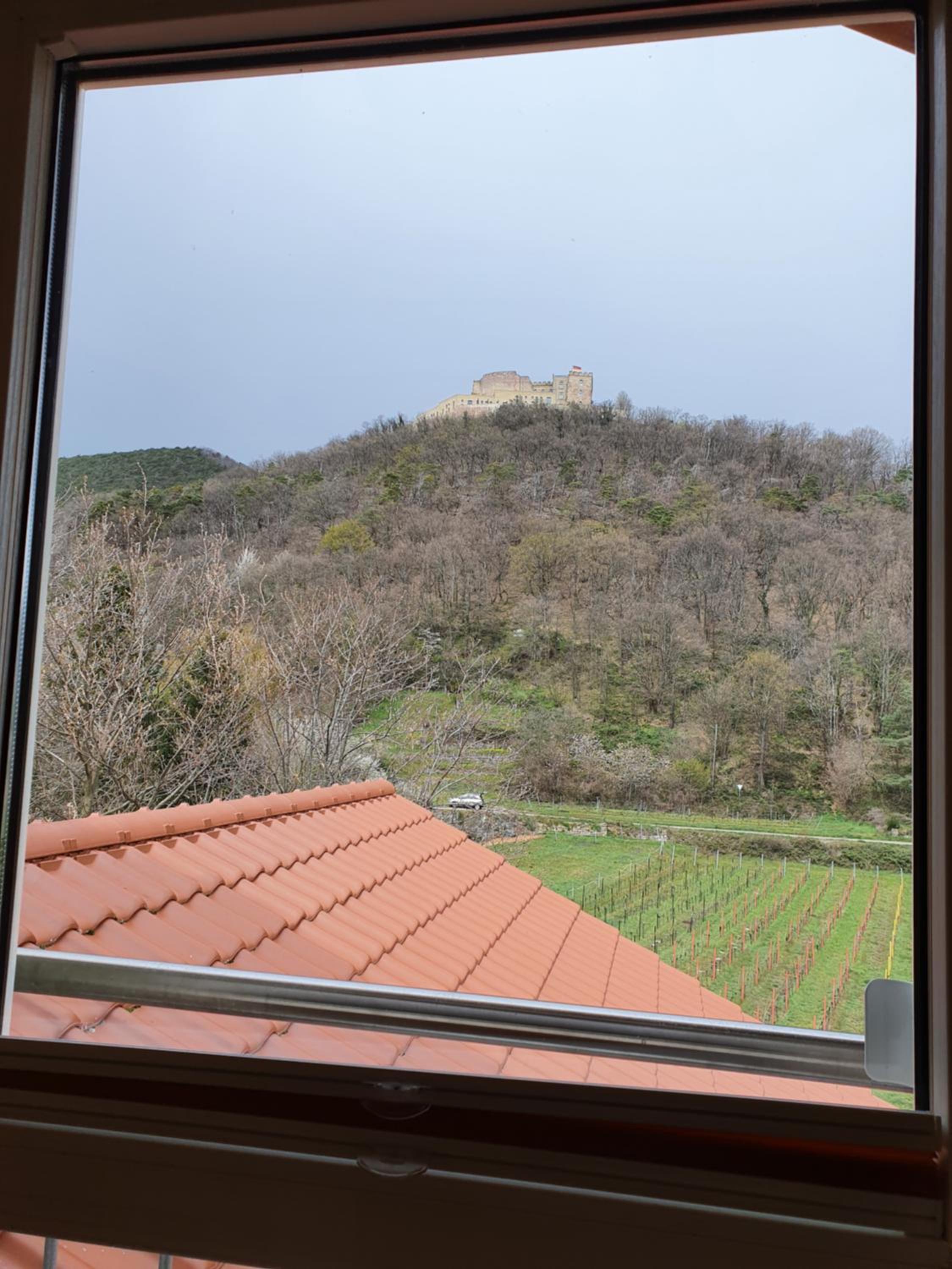 Weinhaus Paradies