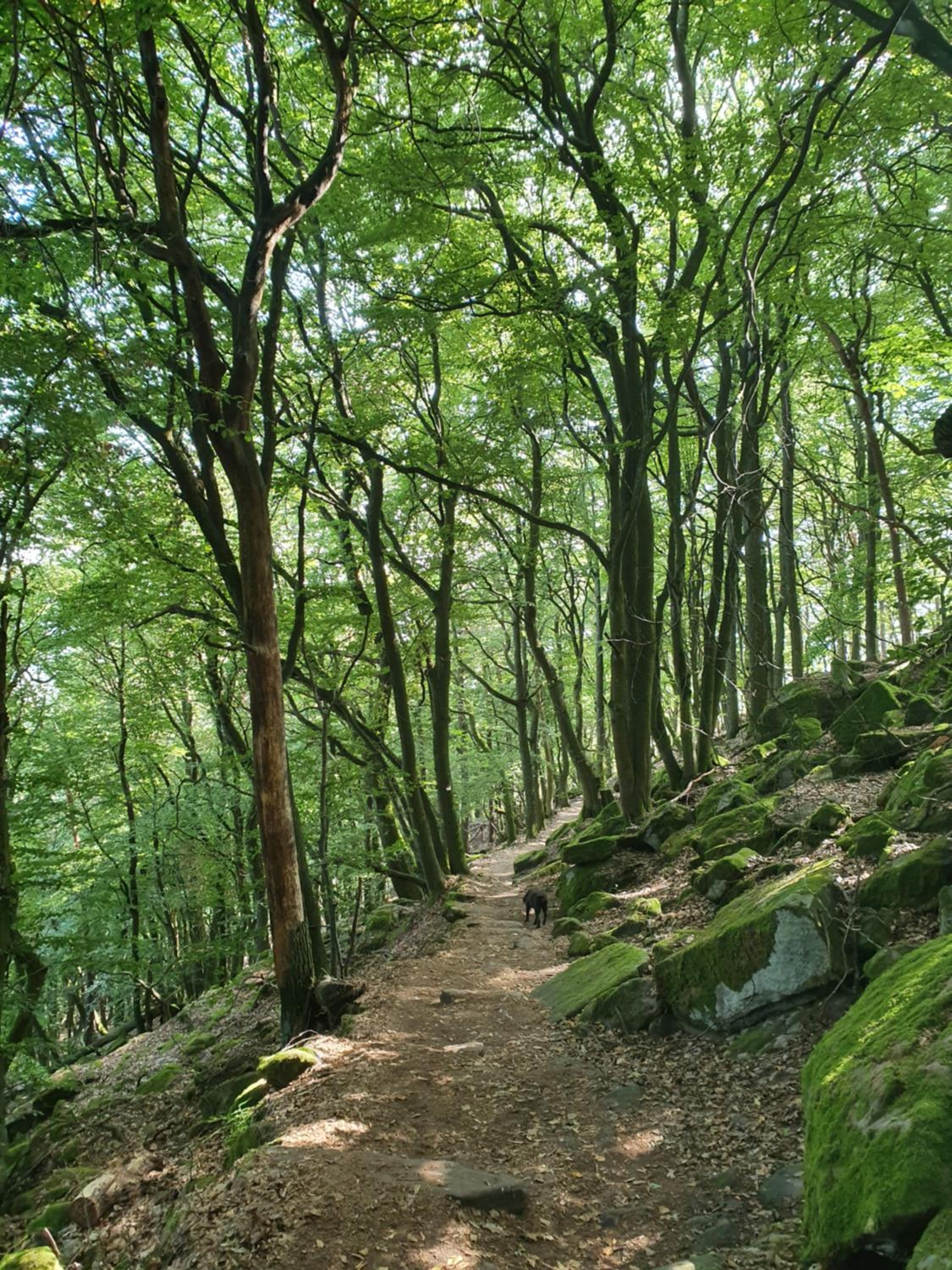 Weinhaus Paradies