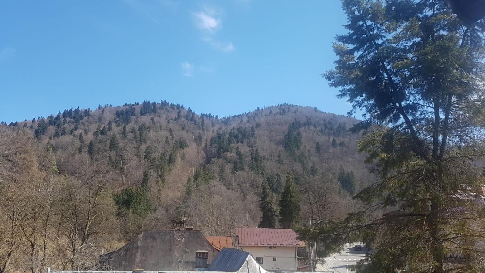 Apartament GreenStar view 4