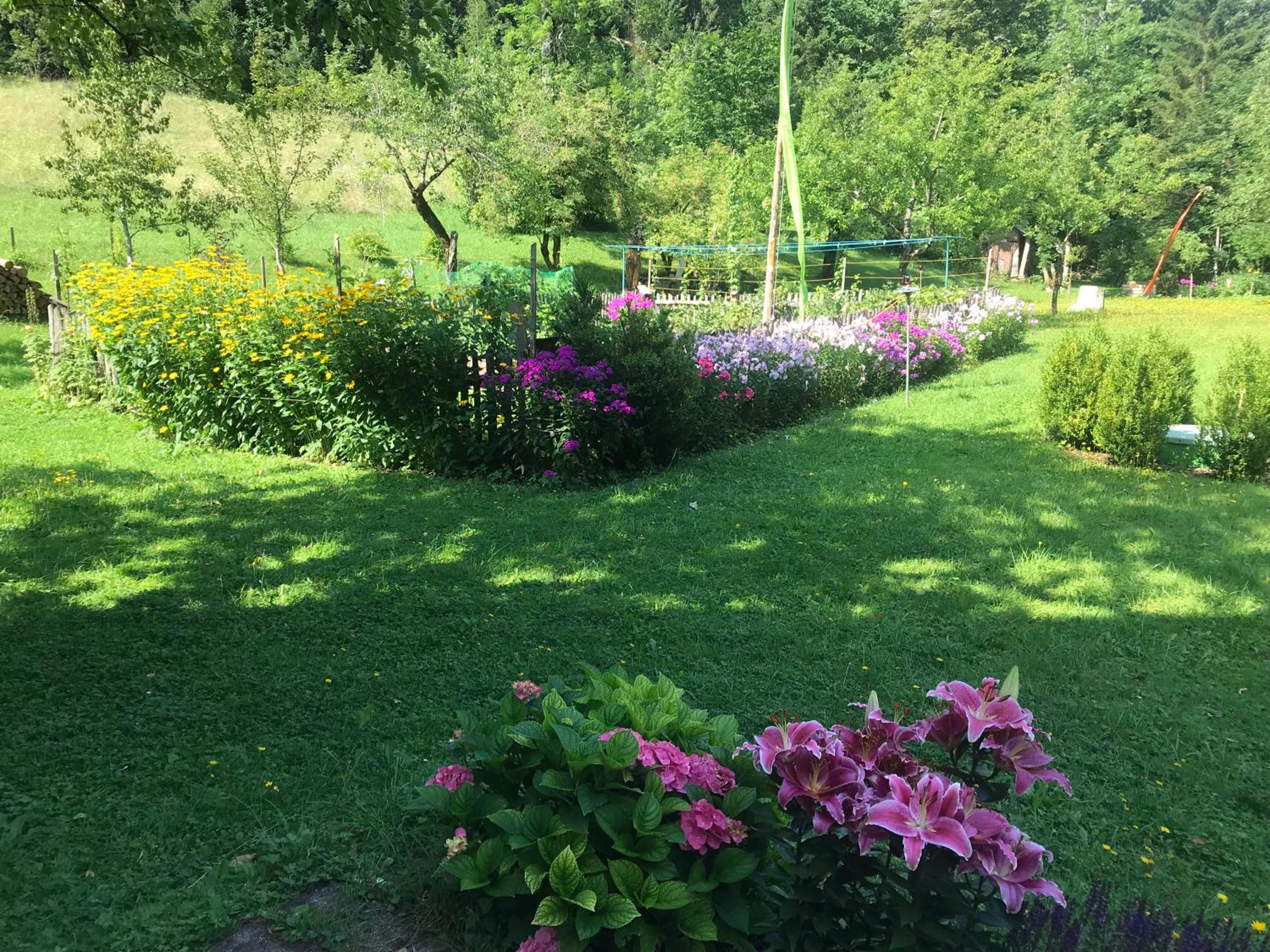 Photo 19