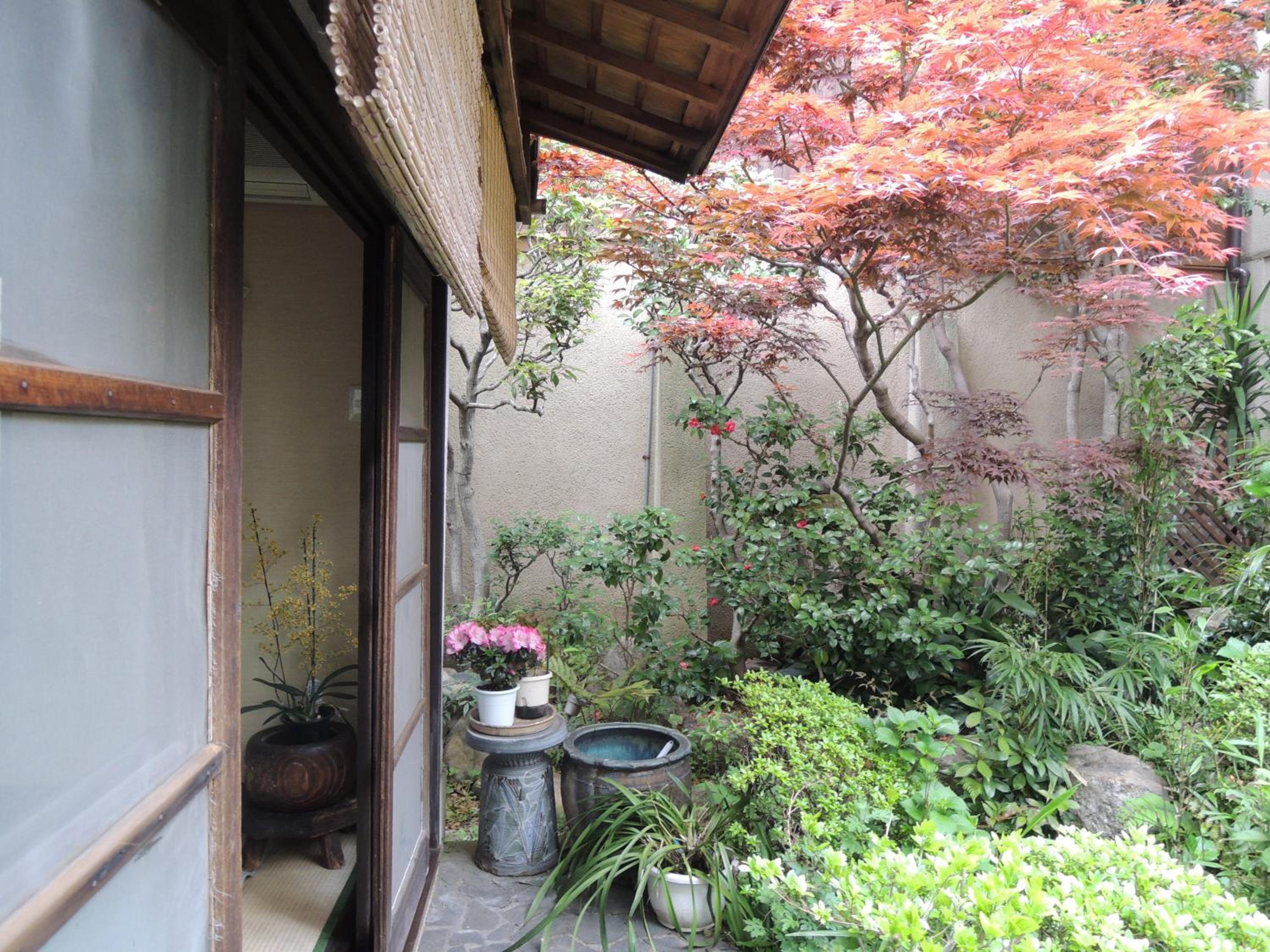 Tsubakiso