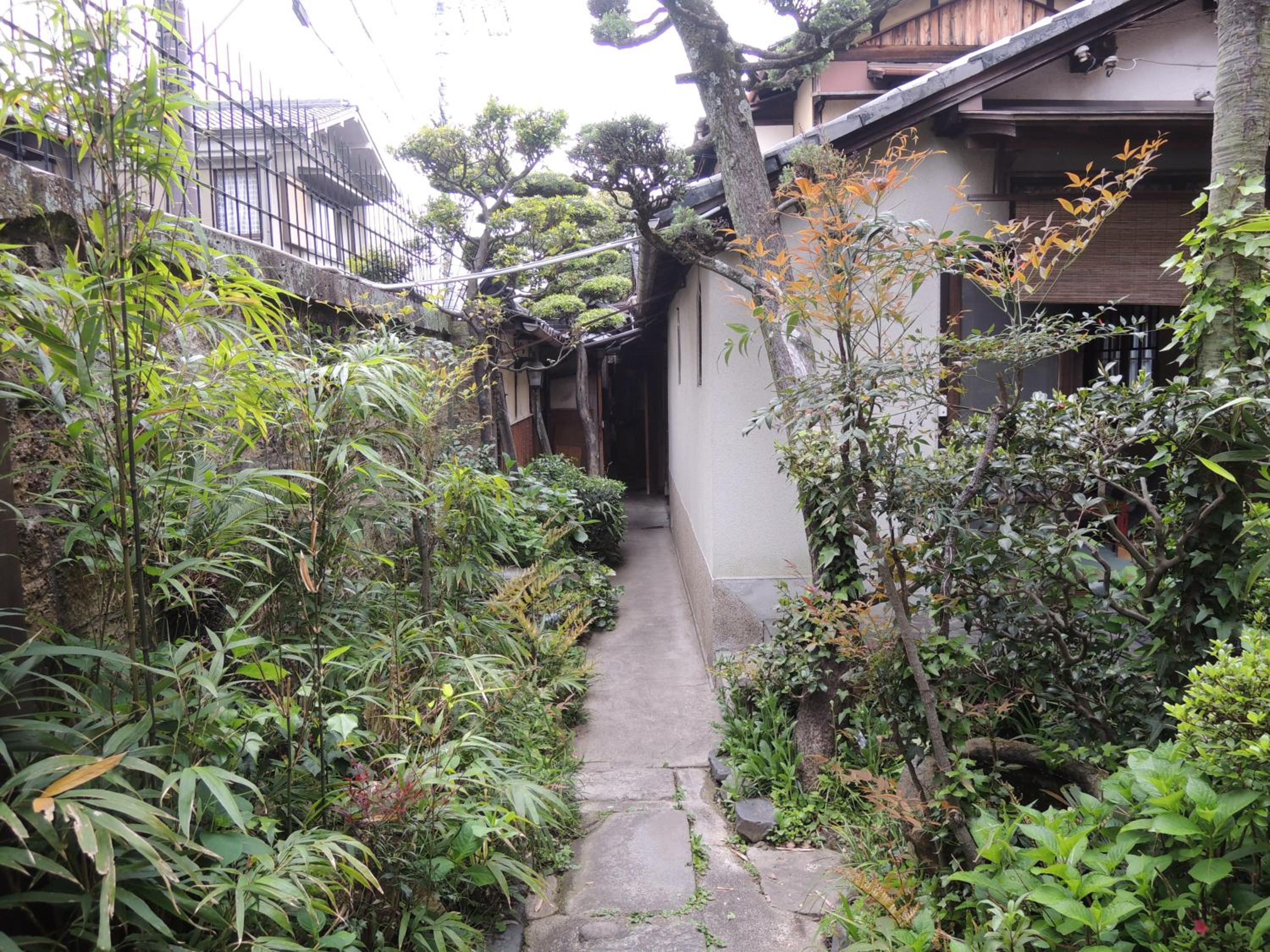 Tsubakiso