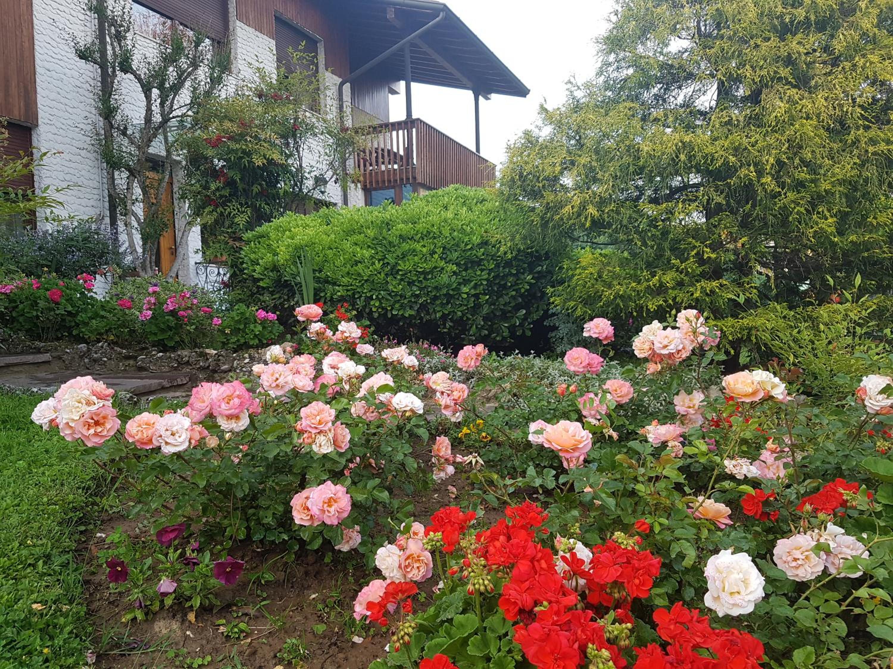 B&B Fontanella view 4