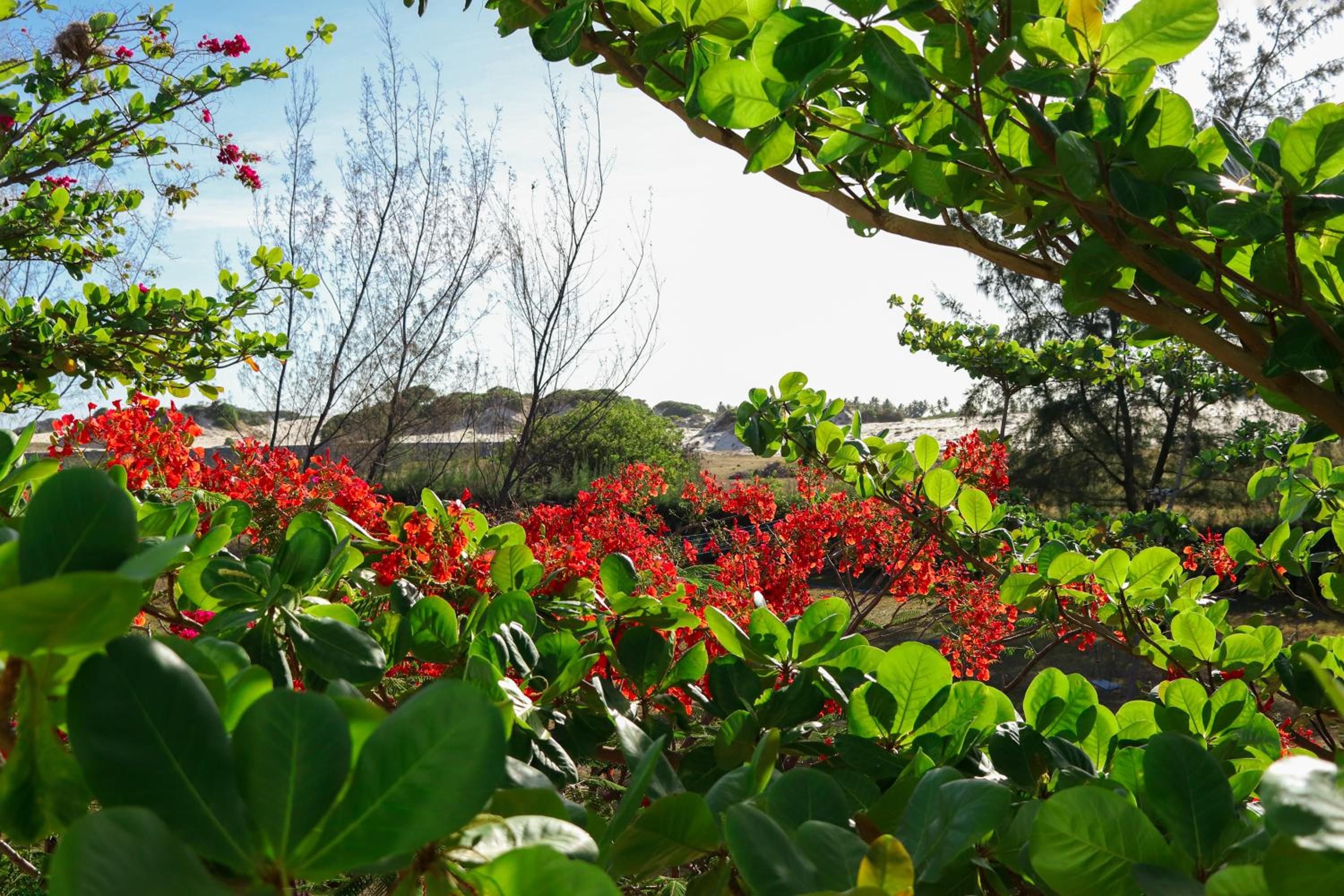 Pousada Villa Verde