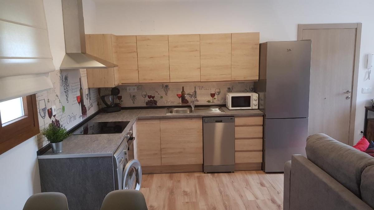 Apartamentos La Glera Biescas photo 3