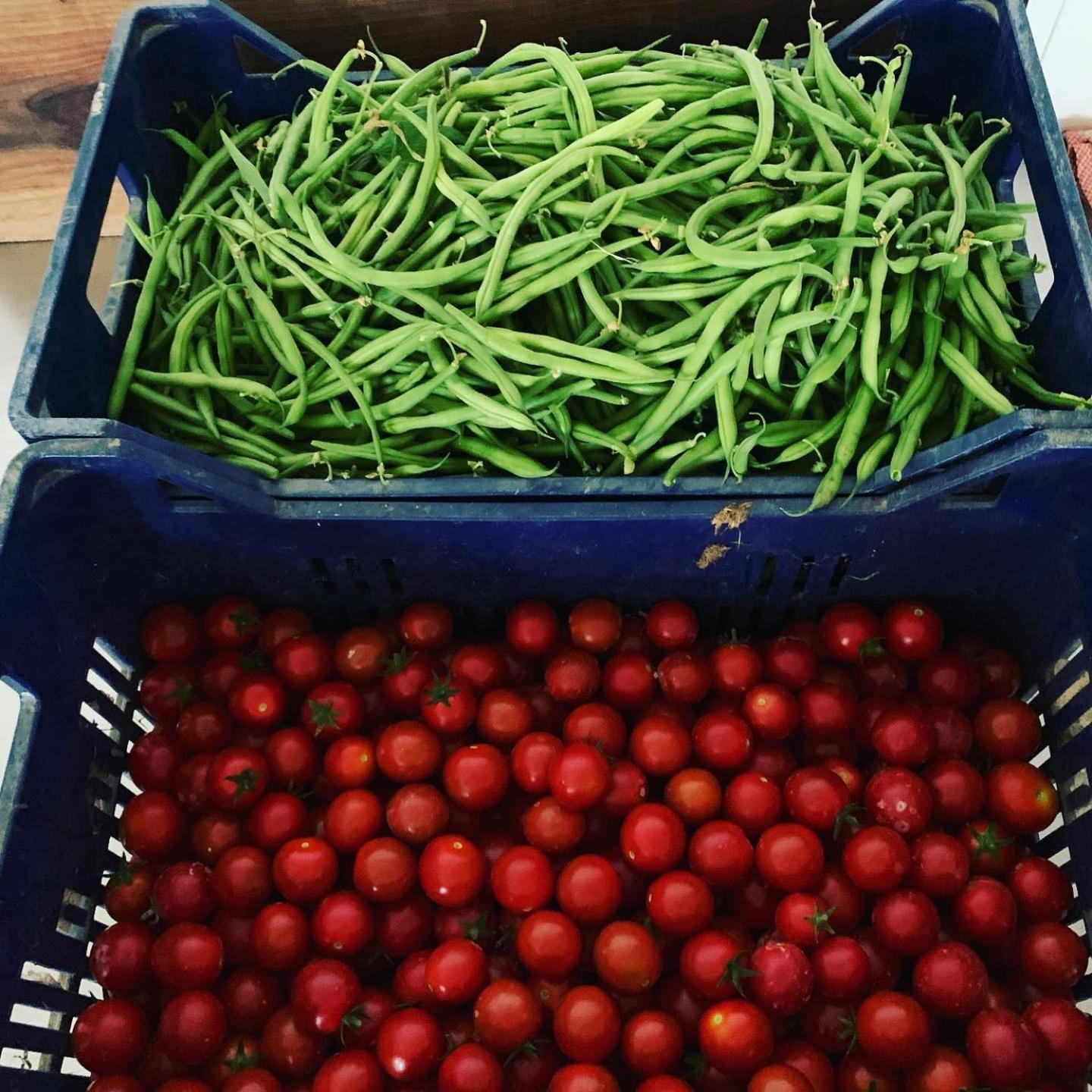Agriturismo Olimpo