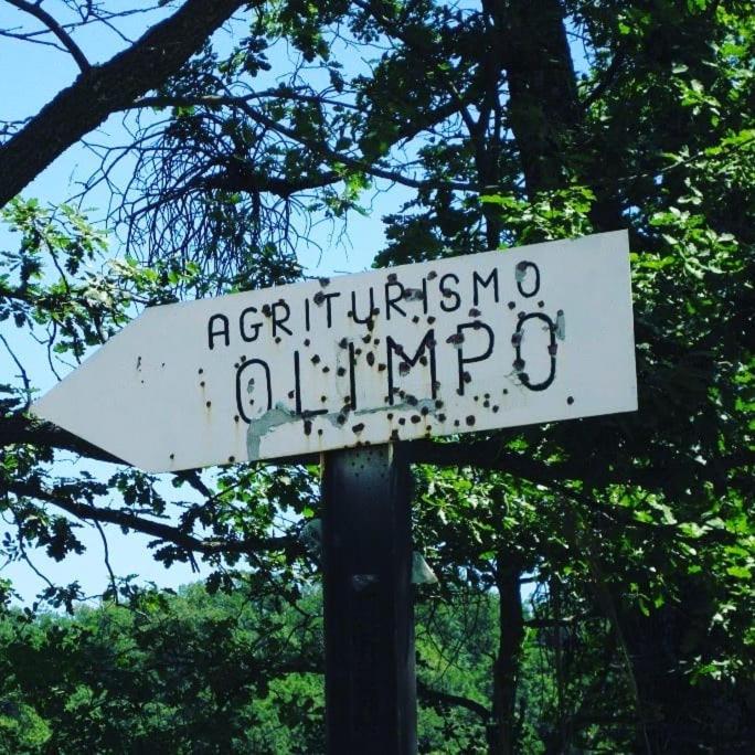 Agriturismo Olimpo
