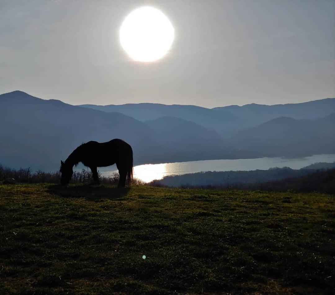 Agriturismo Olimpo