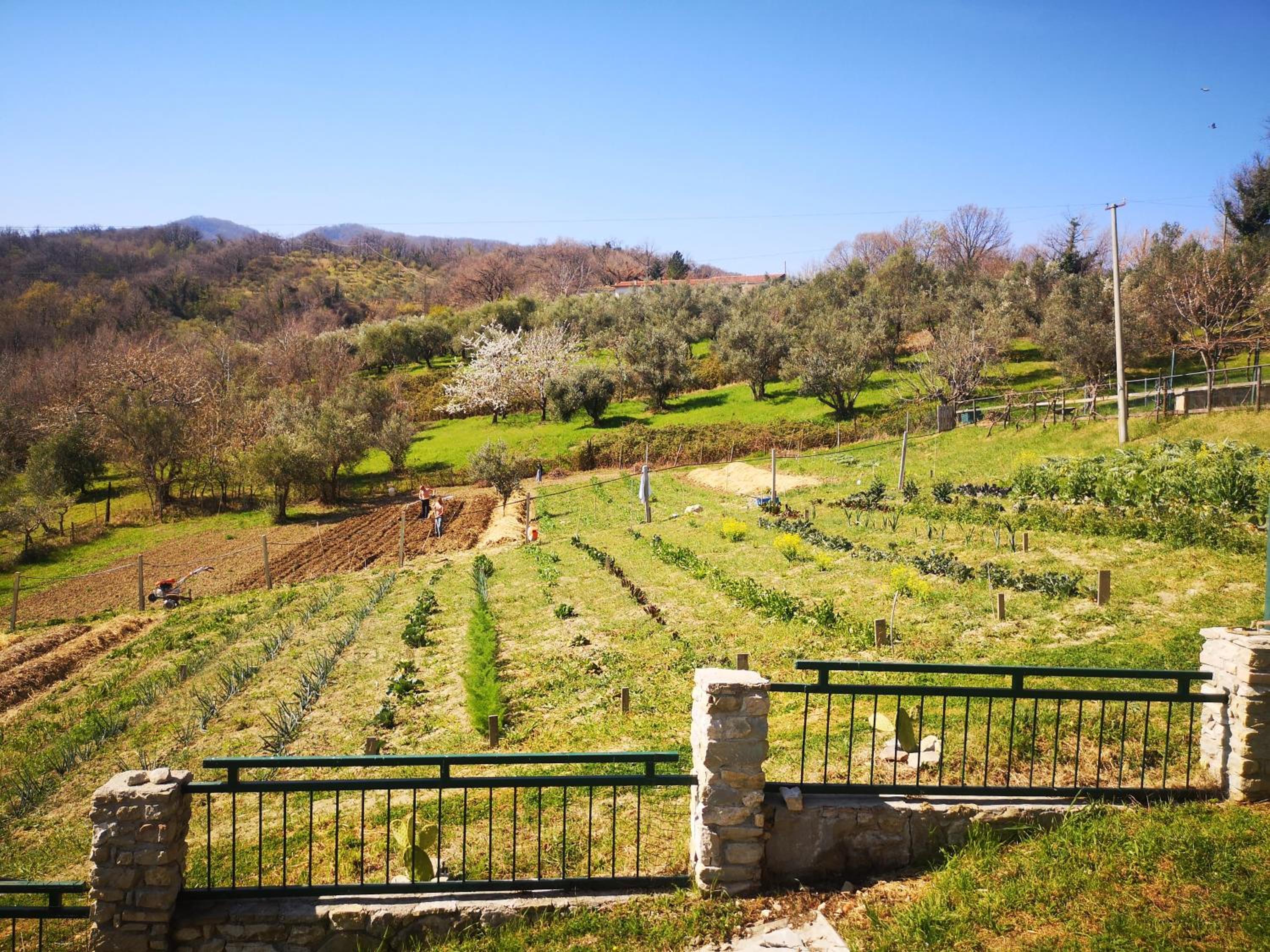 Agriturismo Olimpo