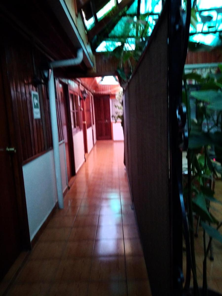 Photo 29