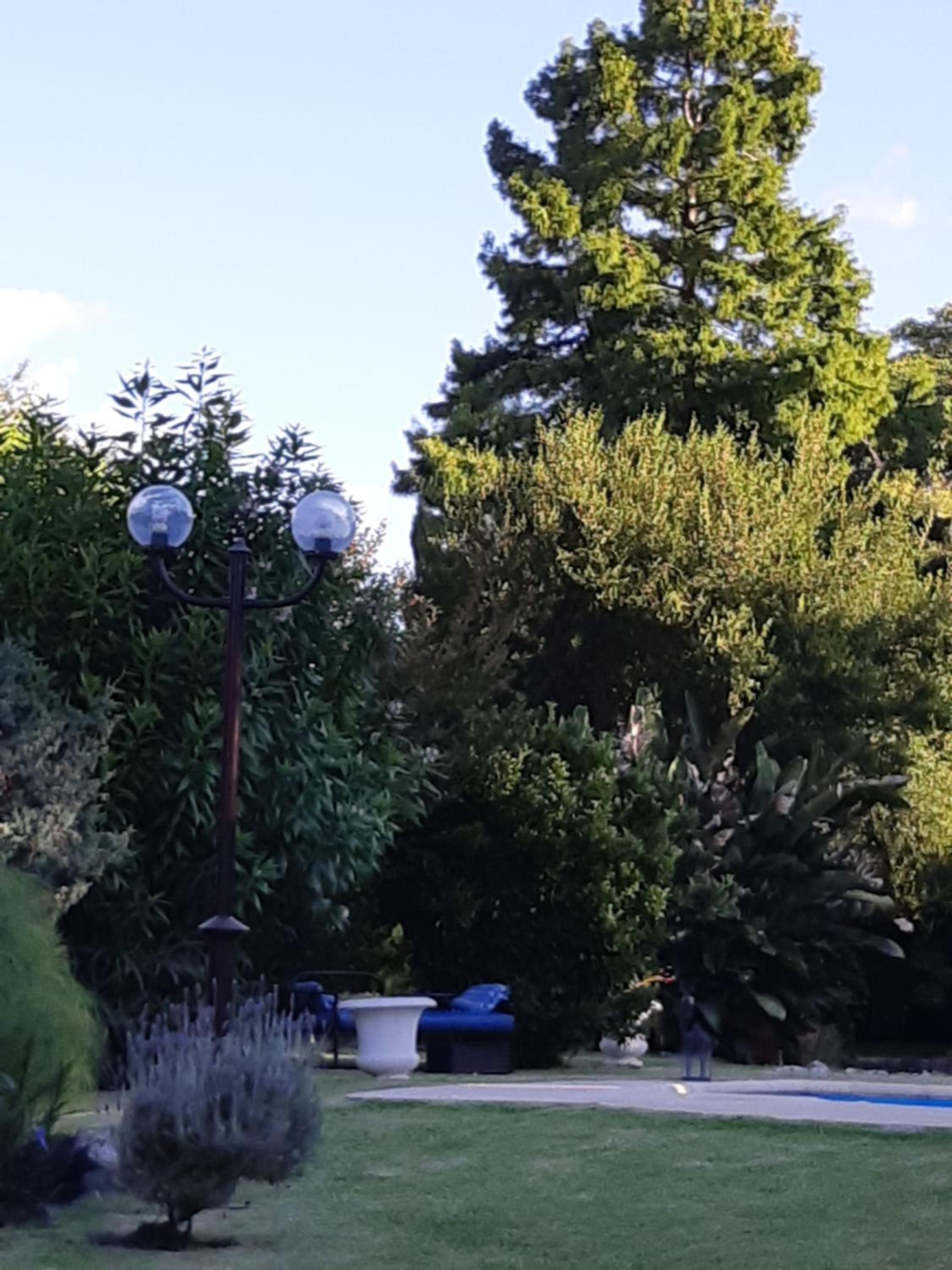 Photo 31