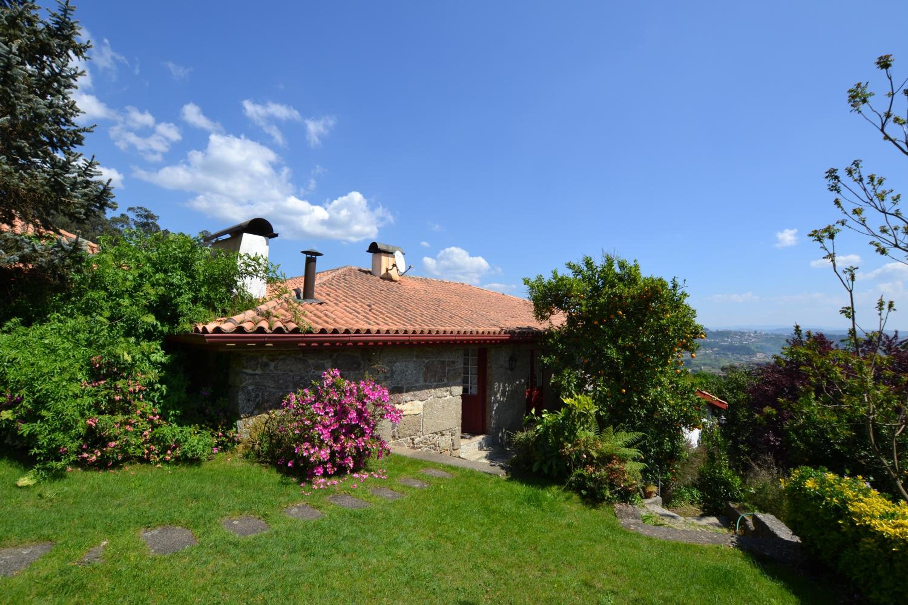 Quinta De Cima De Eiriz, photo 13
