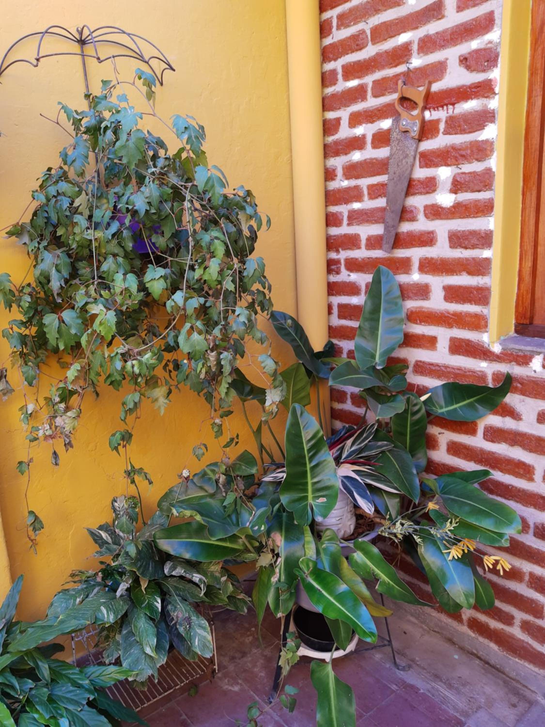 Residencia Colonial