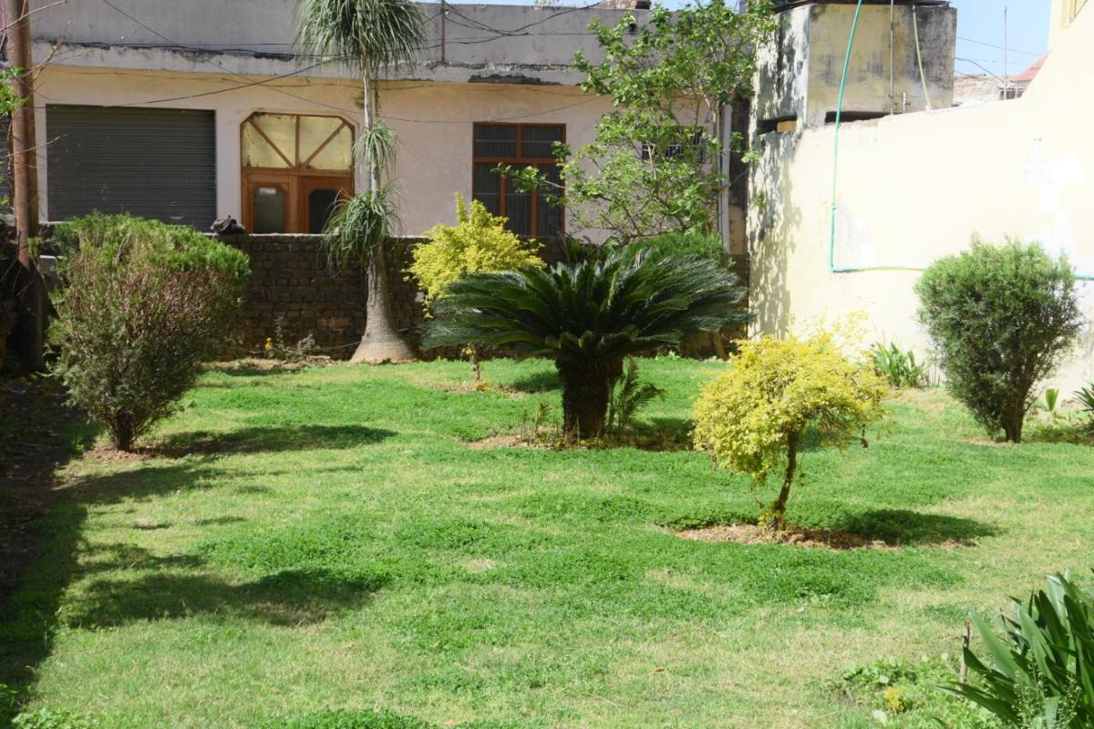 garden