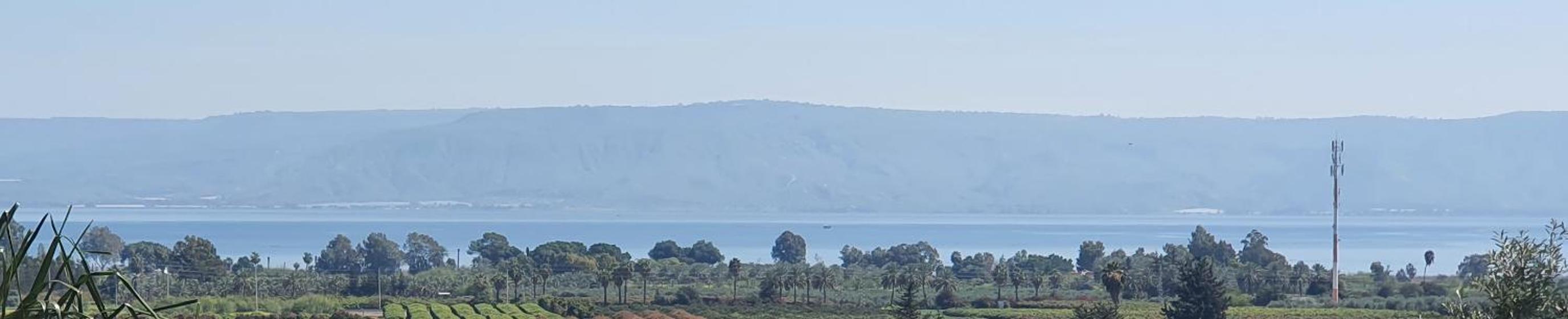 The Lake House
