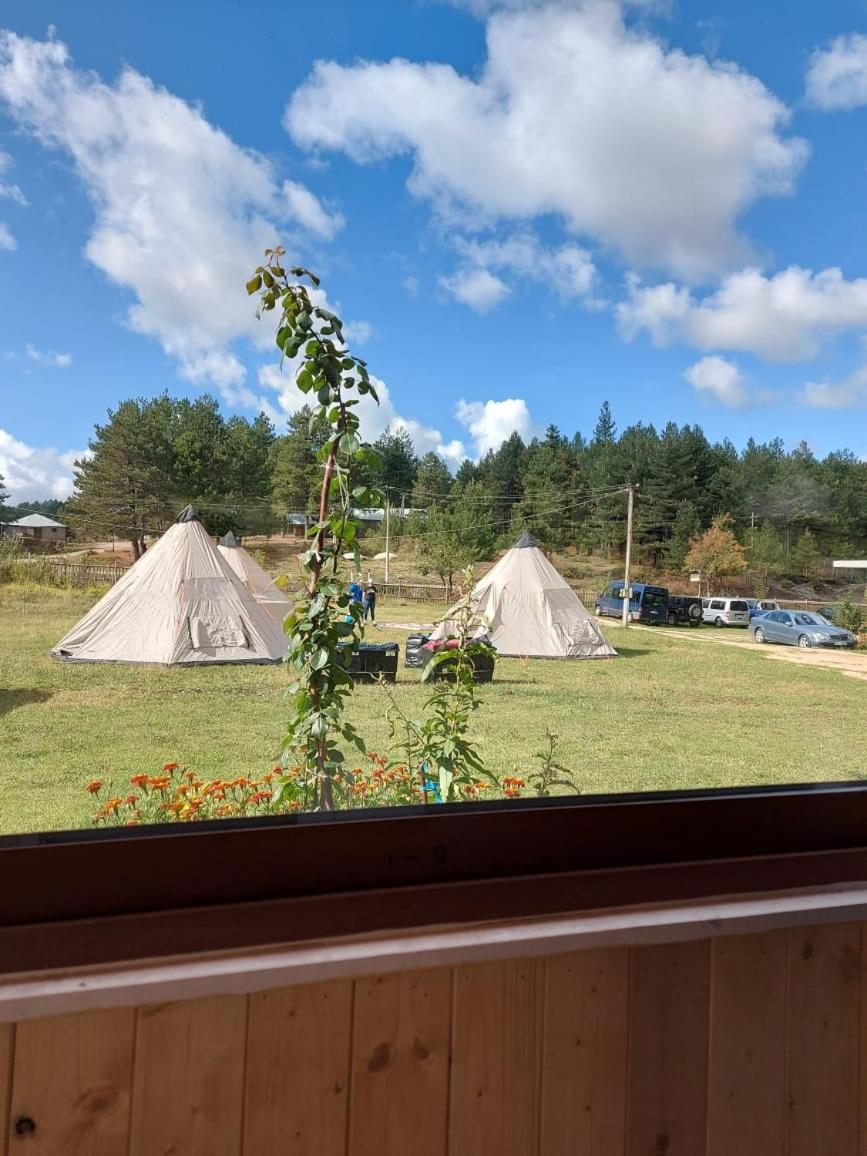 Camping Farm Shelegur