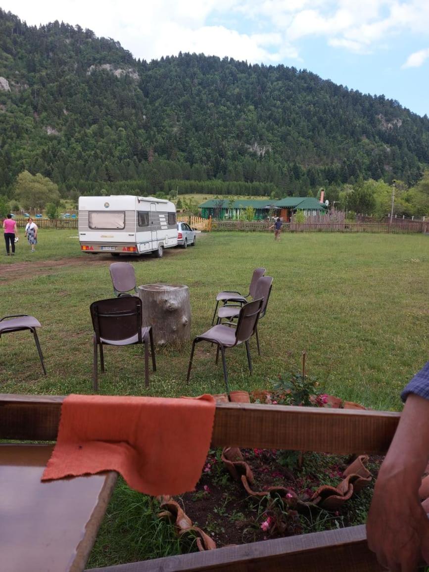 Camping Farm Shelegur