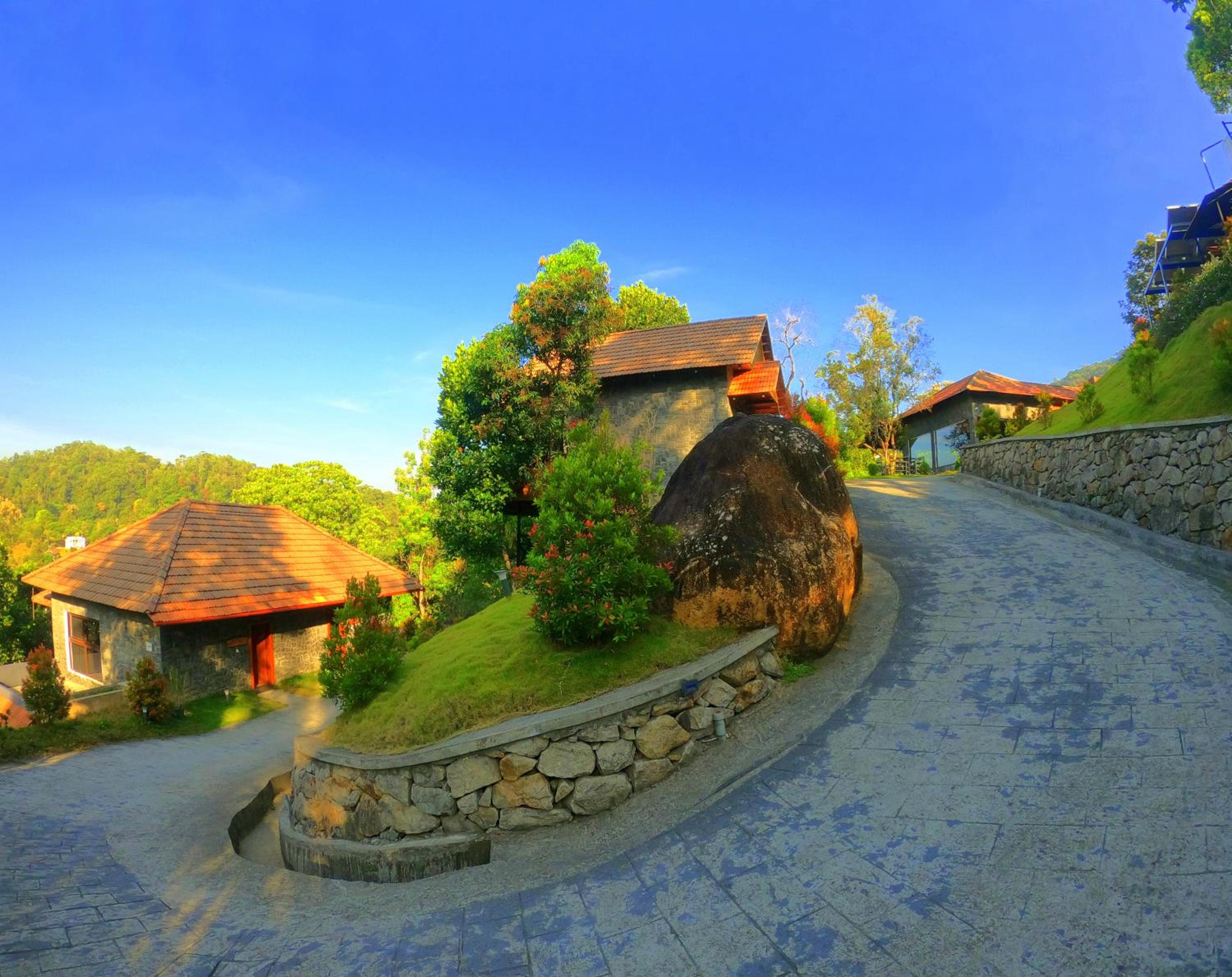 The Wild Trails Clarks Exotica , Munnar view 5