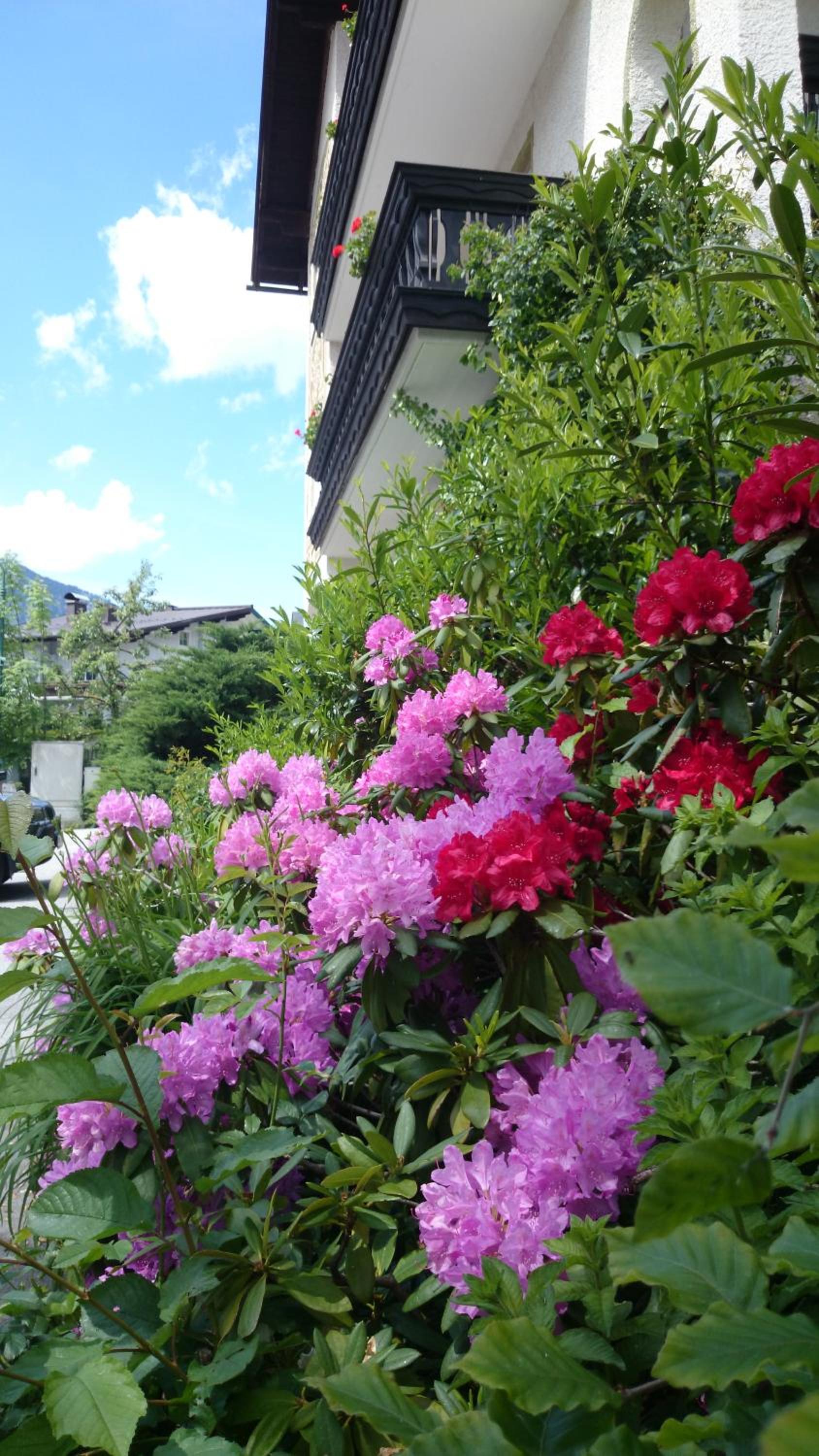 Hotel zum Toni