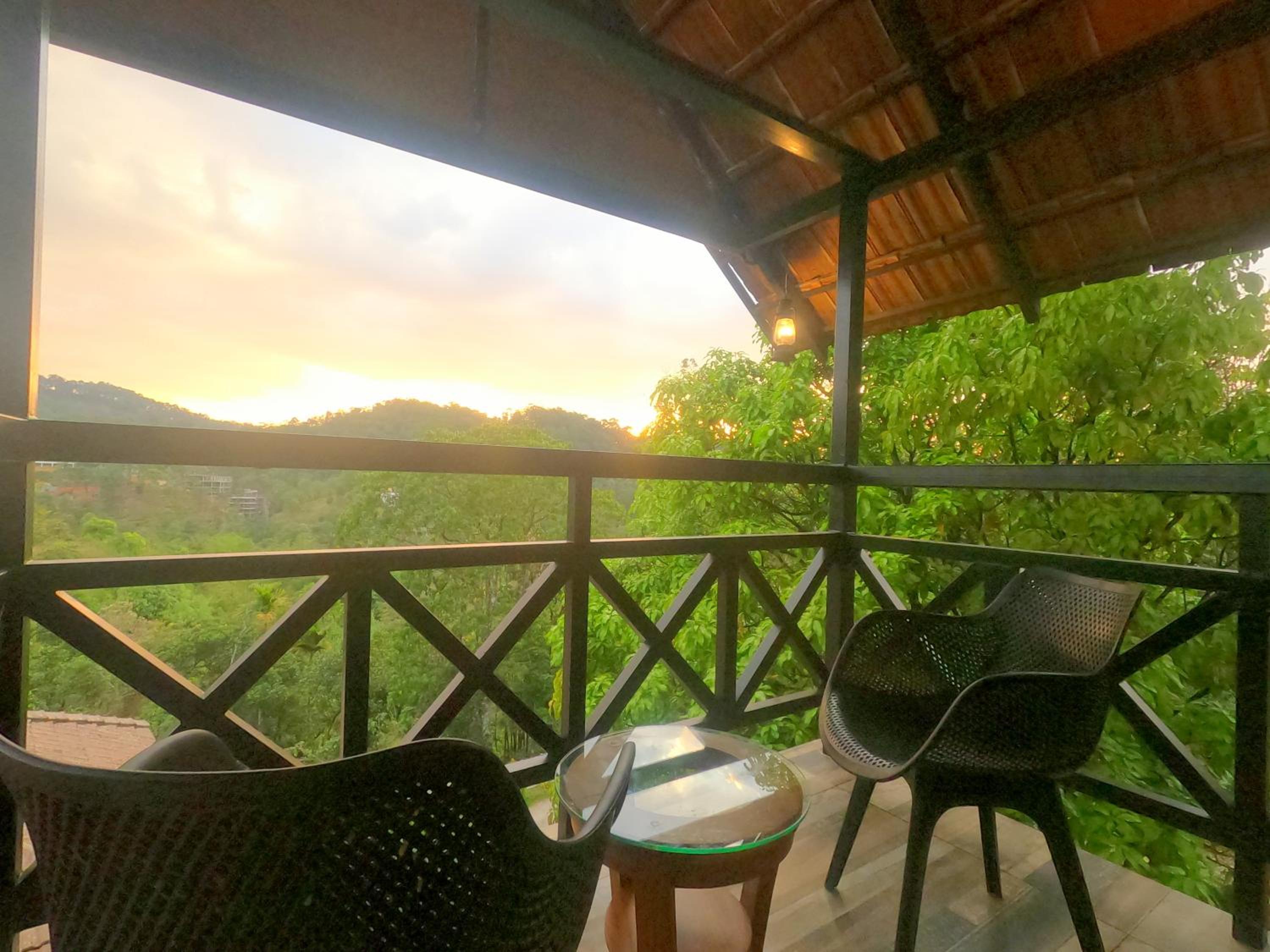 The Wild Trails Clarks Exotica , Munnar view 3