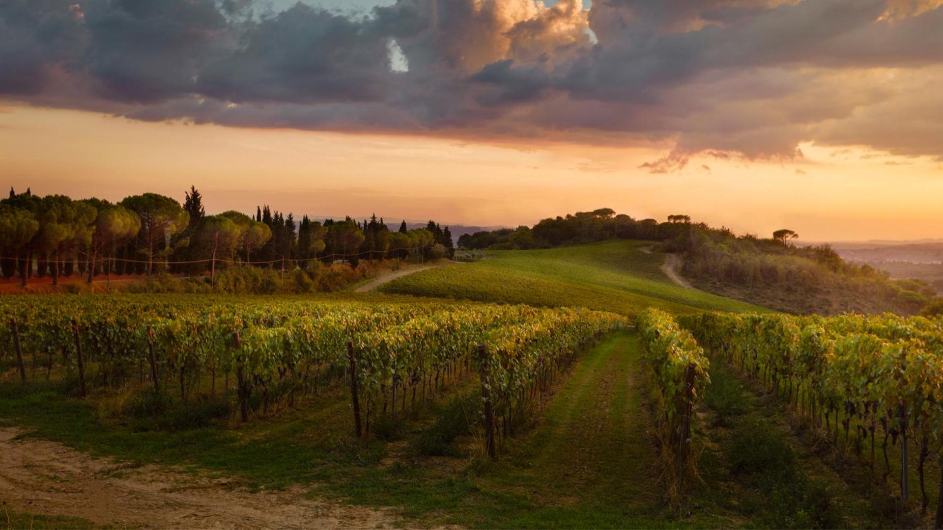 Tenuta San Vito In Fior Di Selva view 5