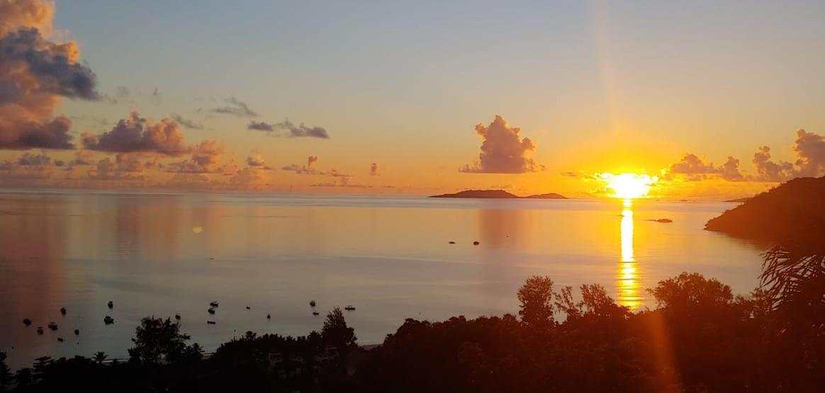 Mango Lodge, photo 34