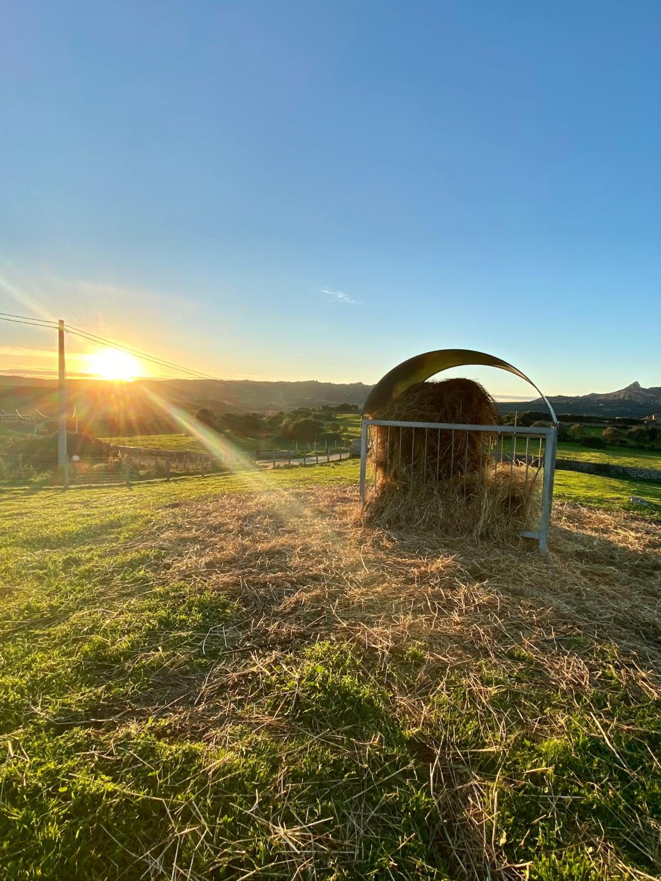 Agriturismo Lu Branu