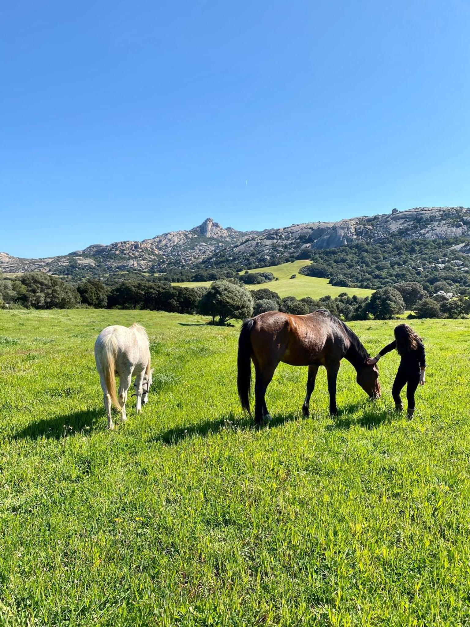 Agriturismo Lu Branu