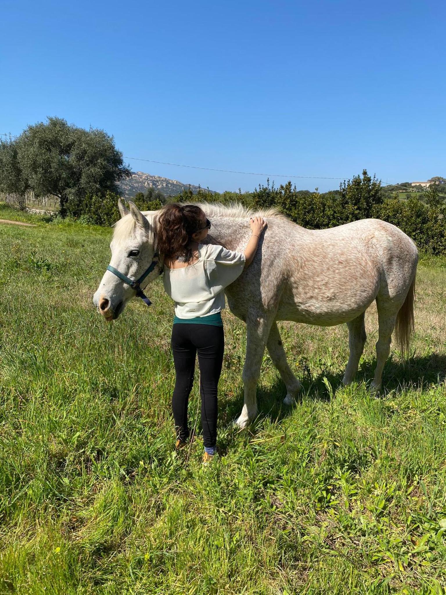 Agriturismo Lu Branu