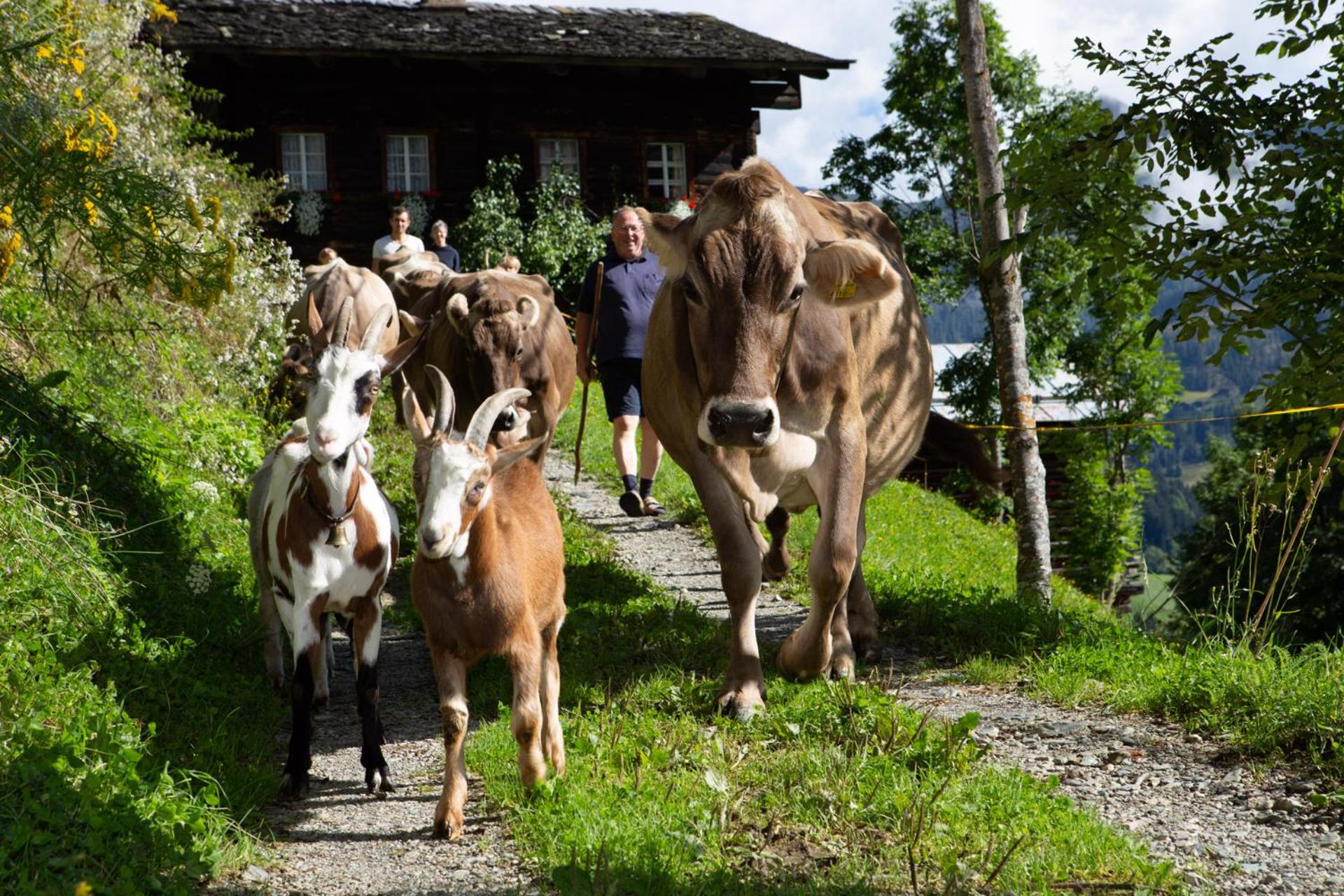 Familienwanderhof Eggeler