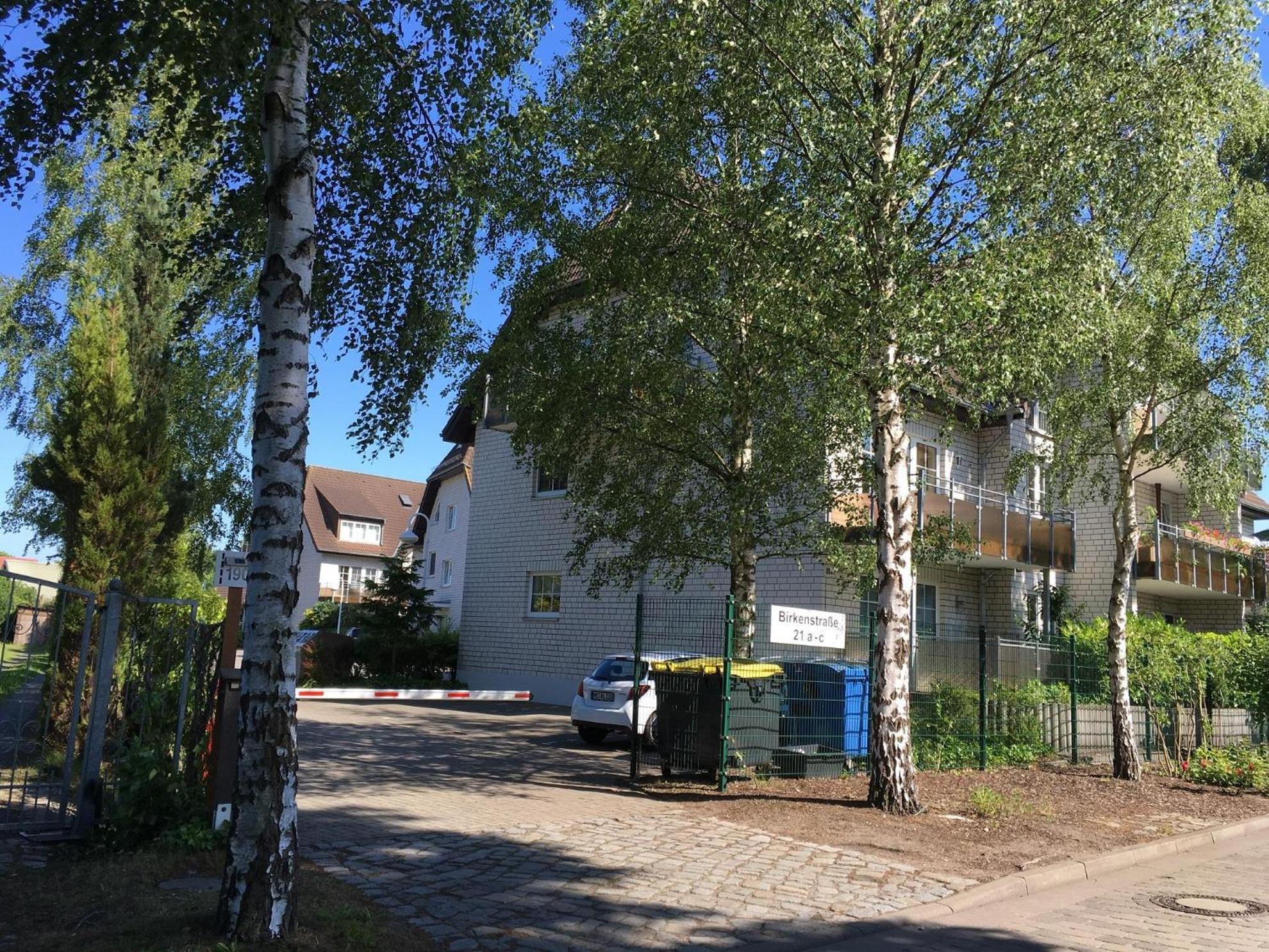 Photo 19