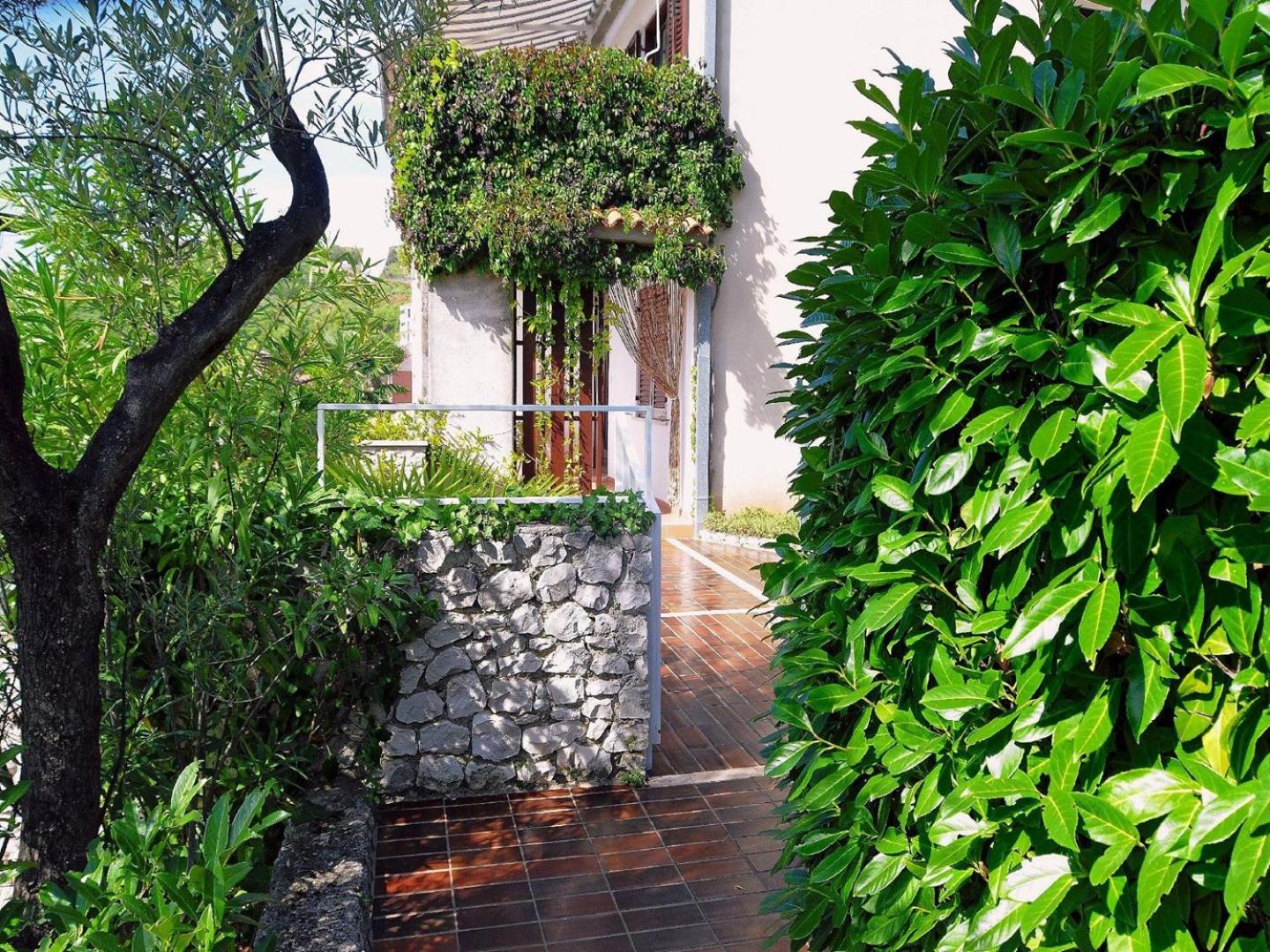 Apartments Mandica view 4