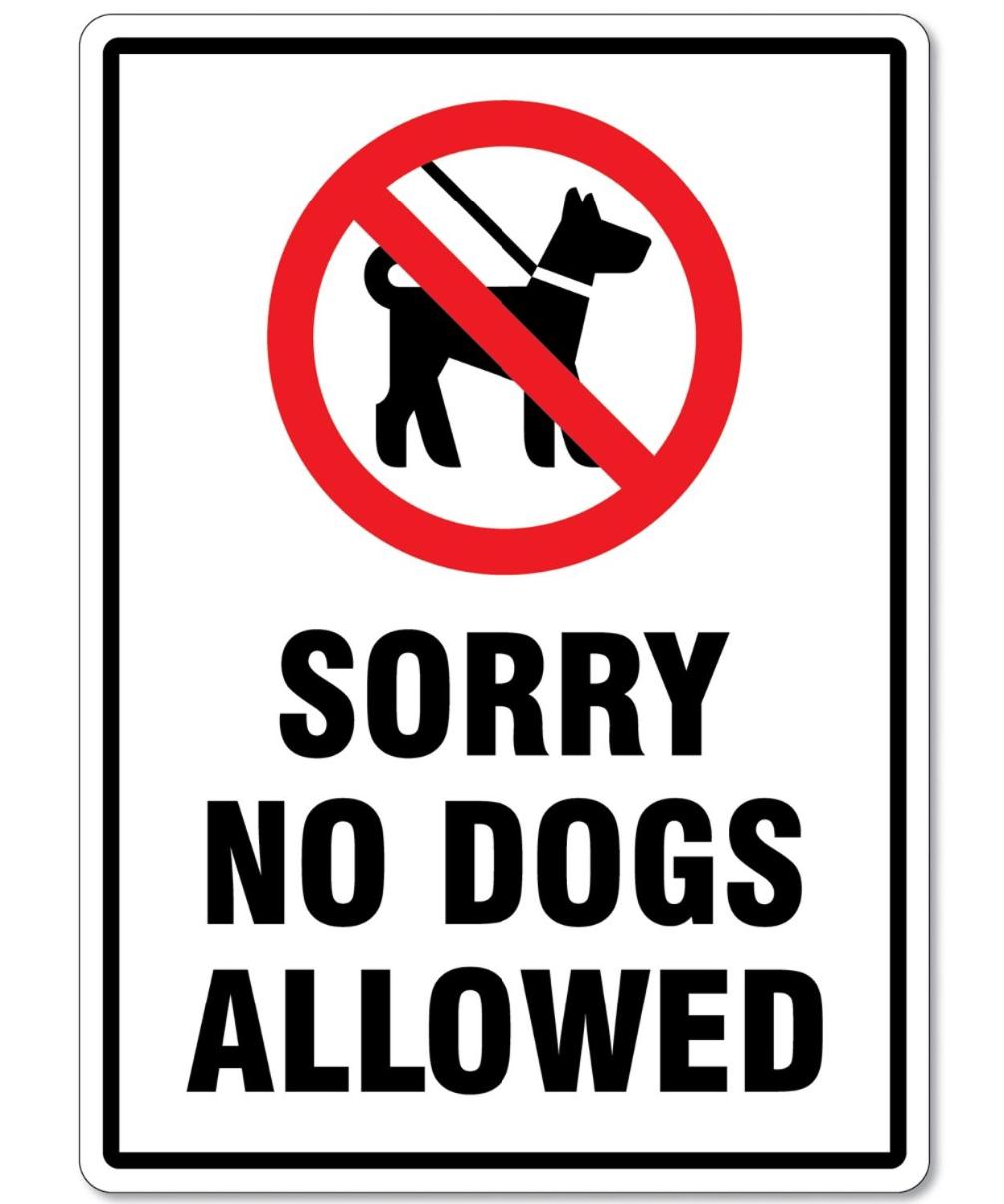 Storrs Gate House B & B No pets Allowed