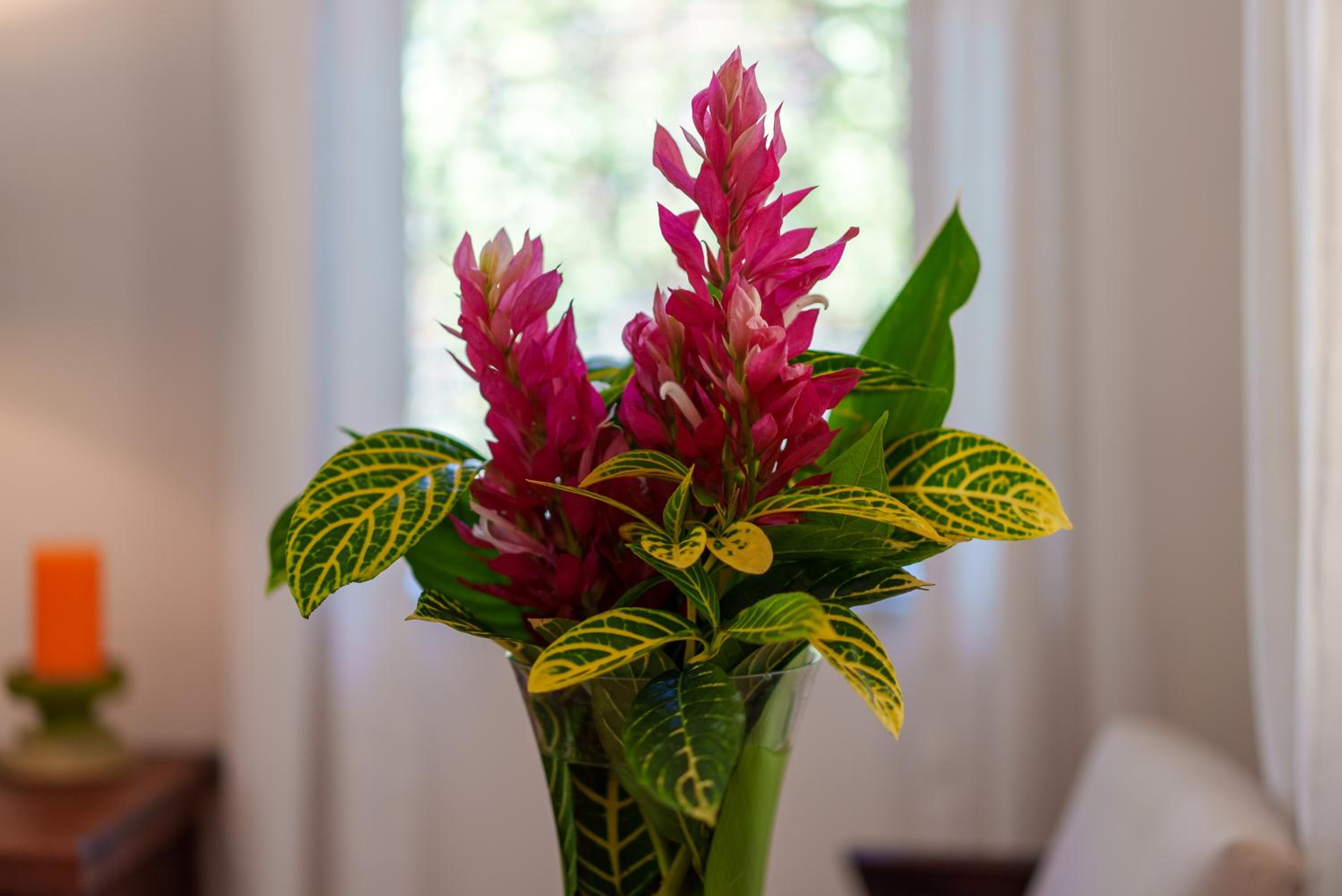 Belize Vacations - Ka'ana Resort  Spa - Property Image 183