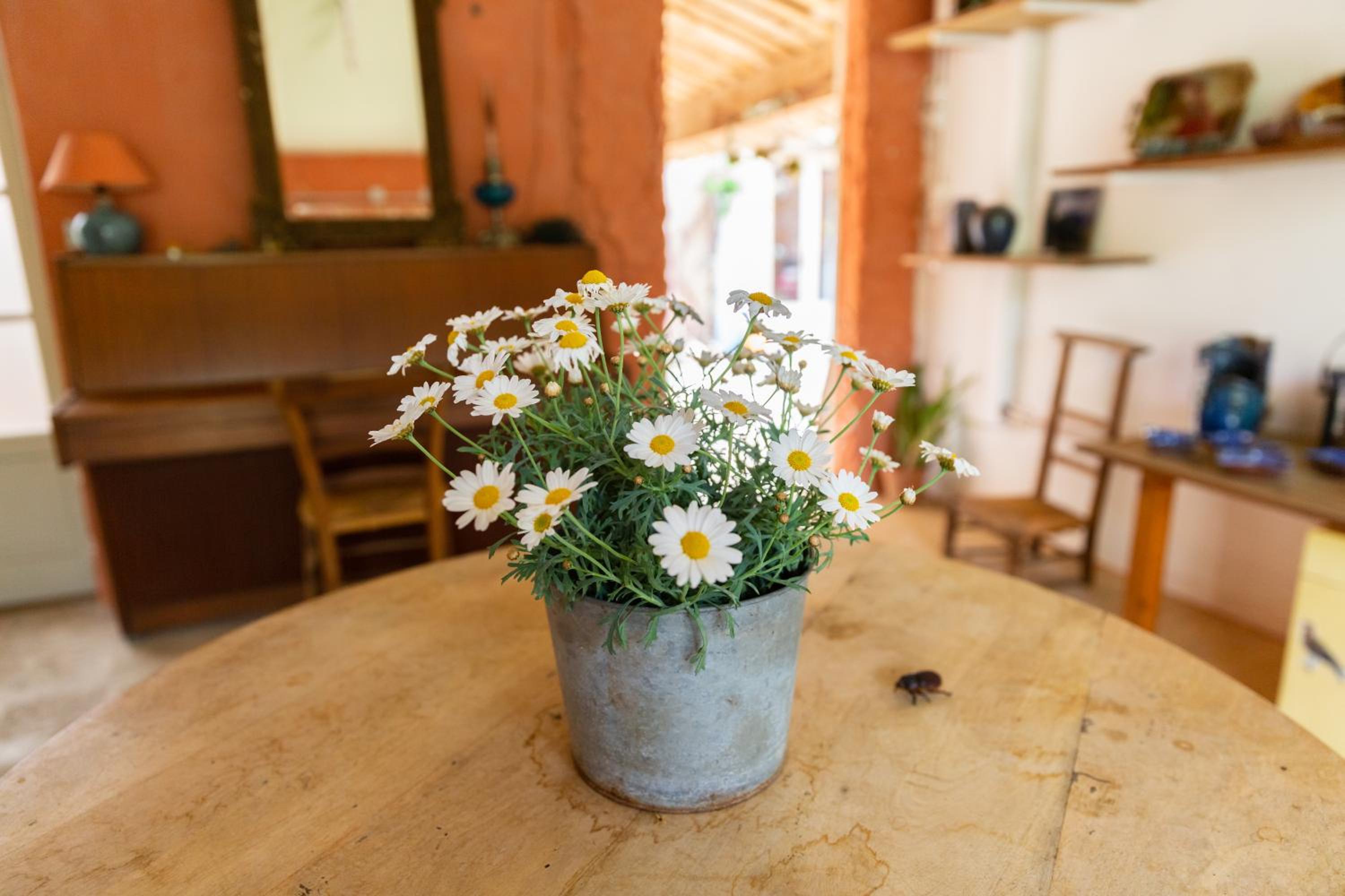 Poterie de Pierroux view 5