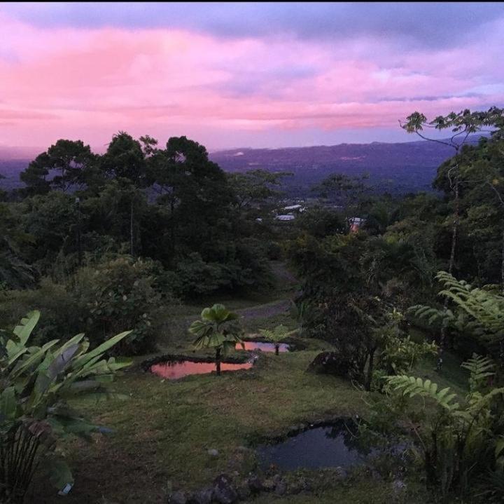 Birds & Breakfast Costa Rica
