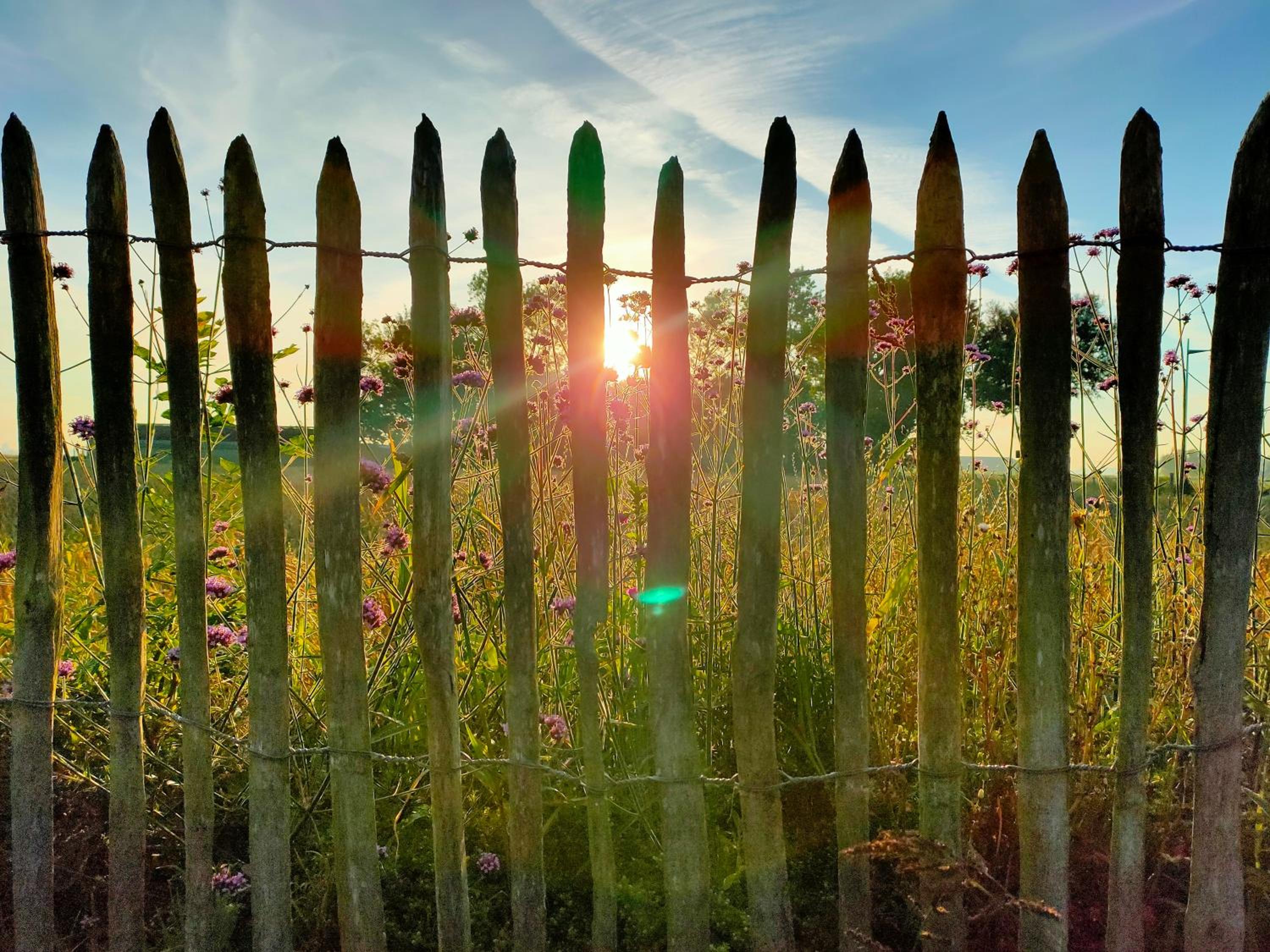 Gastenverblijf Hof Moye Tyt