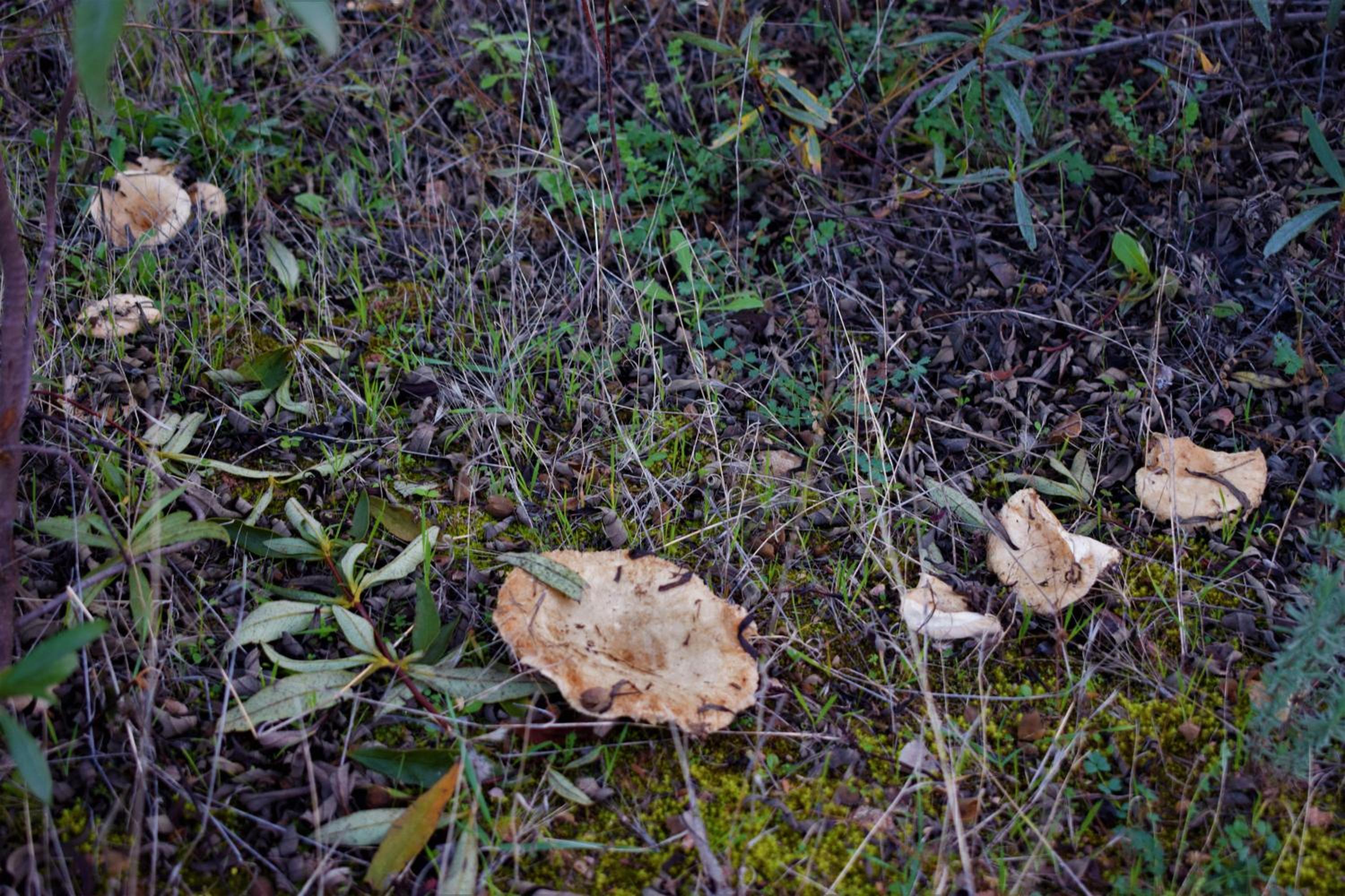 Photo 48
