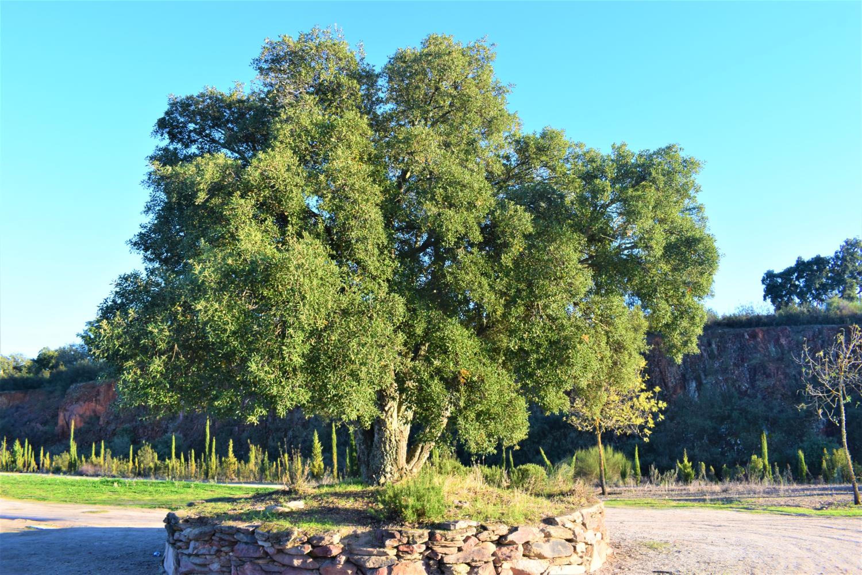 Photo 47