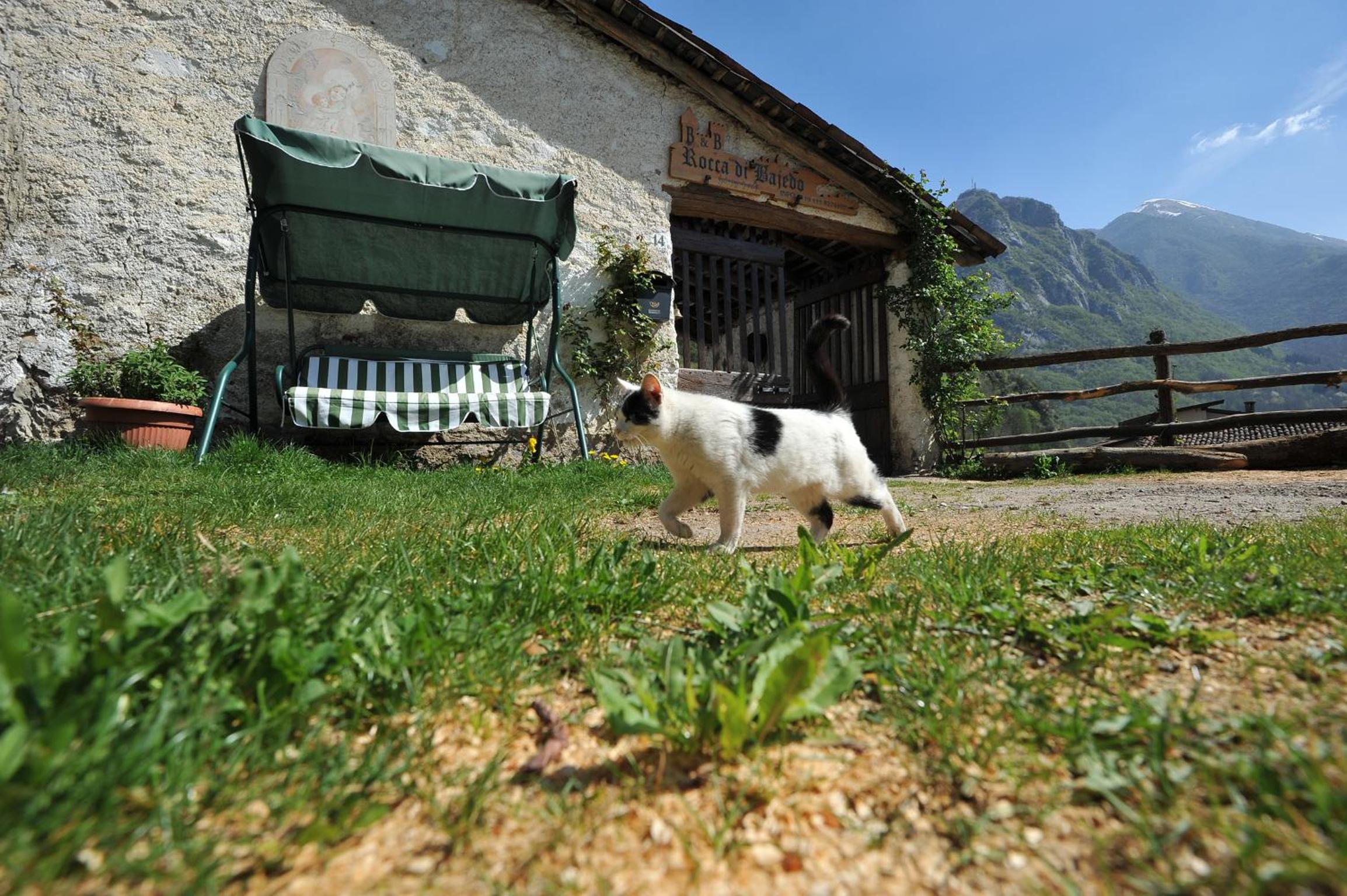 B&B Rocca di Bajedo