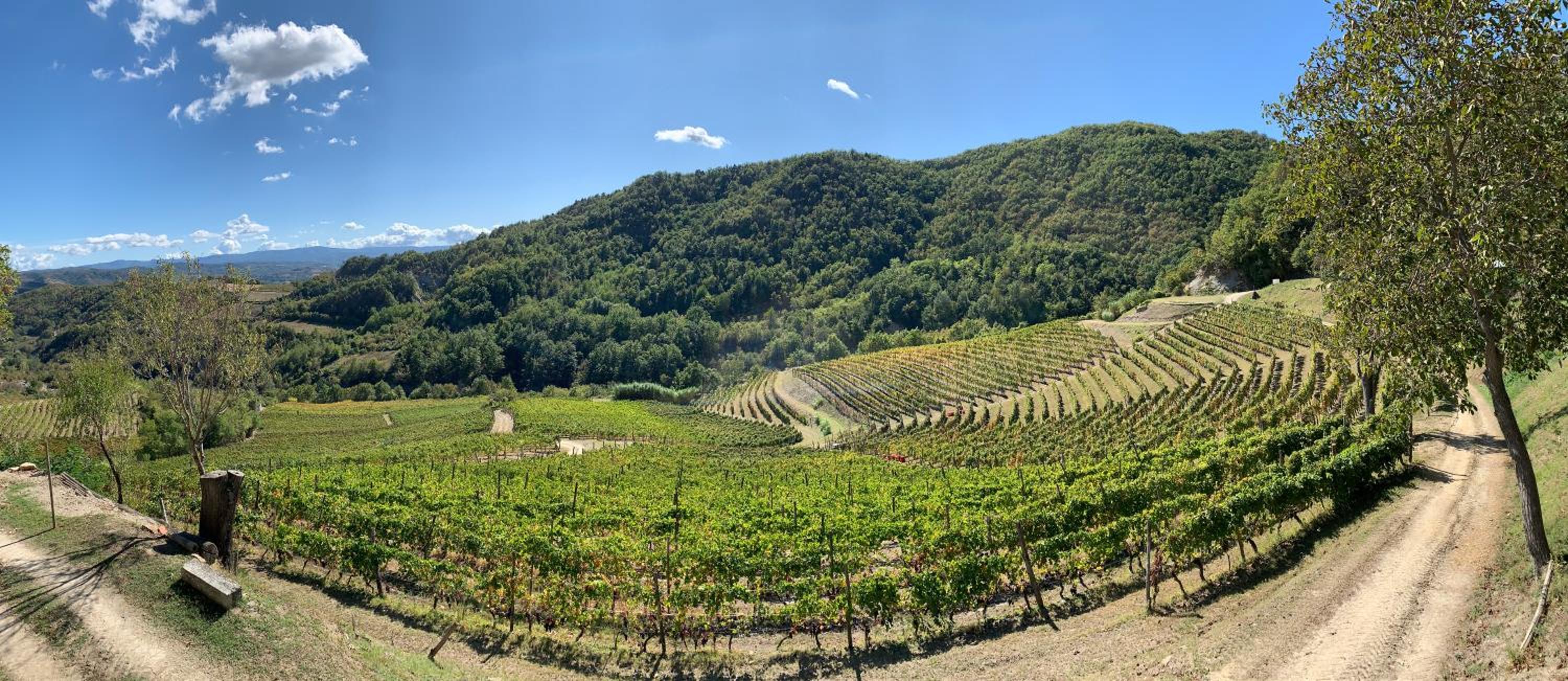 Cascina Bertolotto Wine Resort
