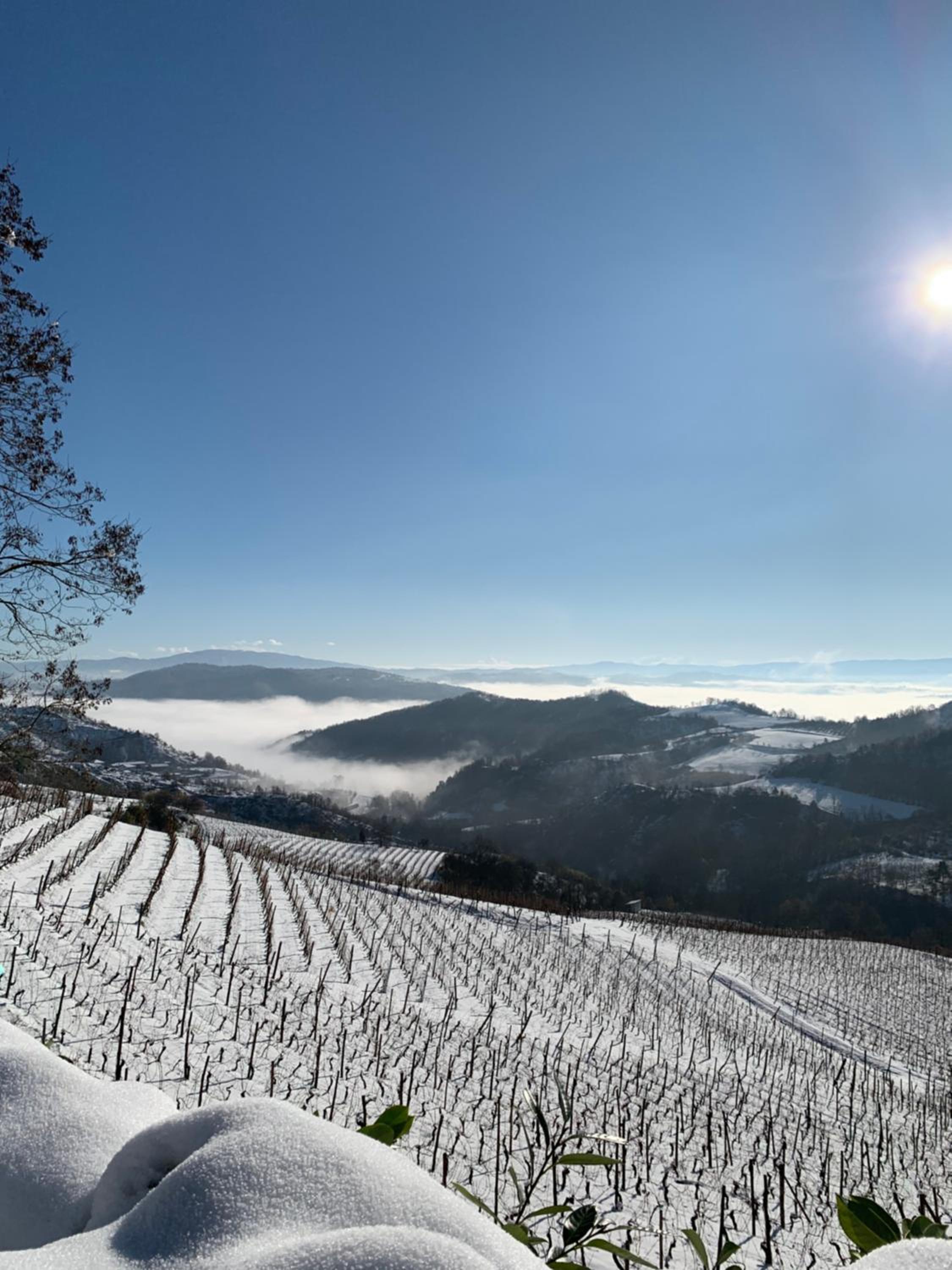 Cascina Bertolotto Wine Resort