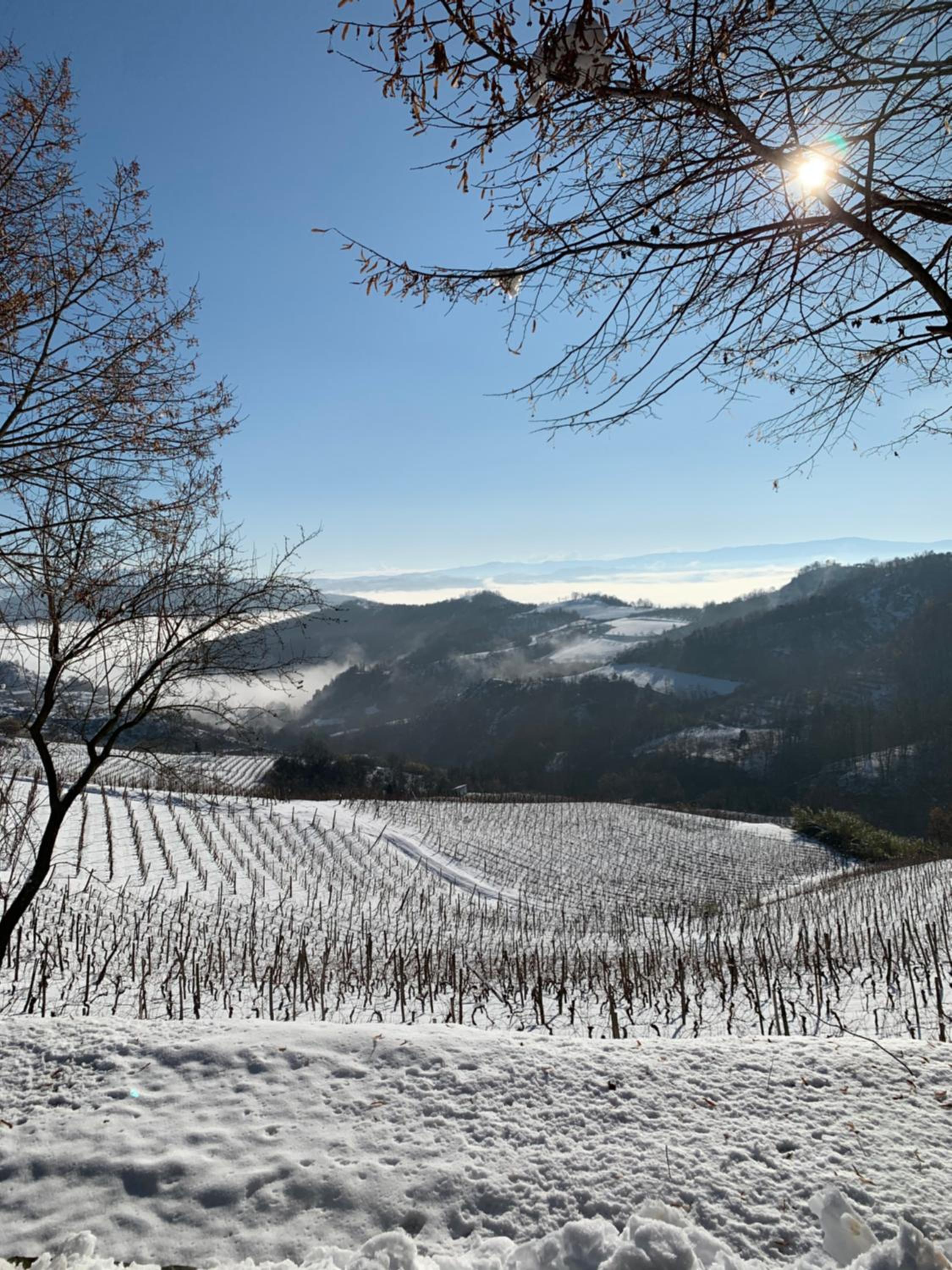 Cascina Bertolotto Wine Resort