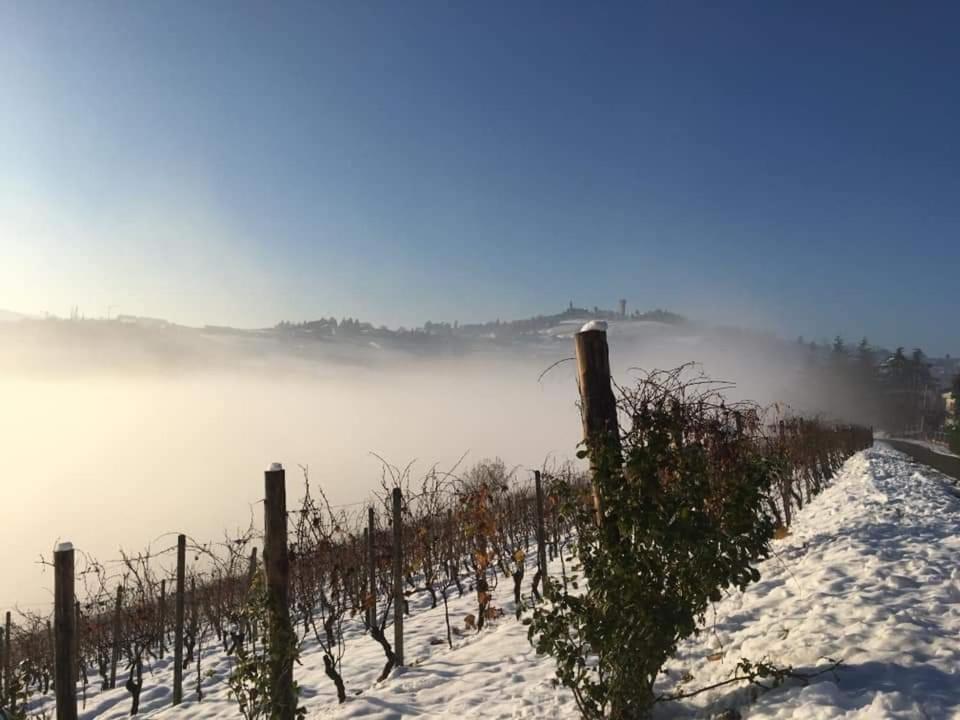 Tenuta Le More en Calosso