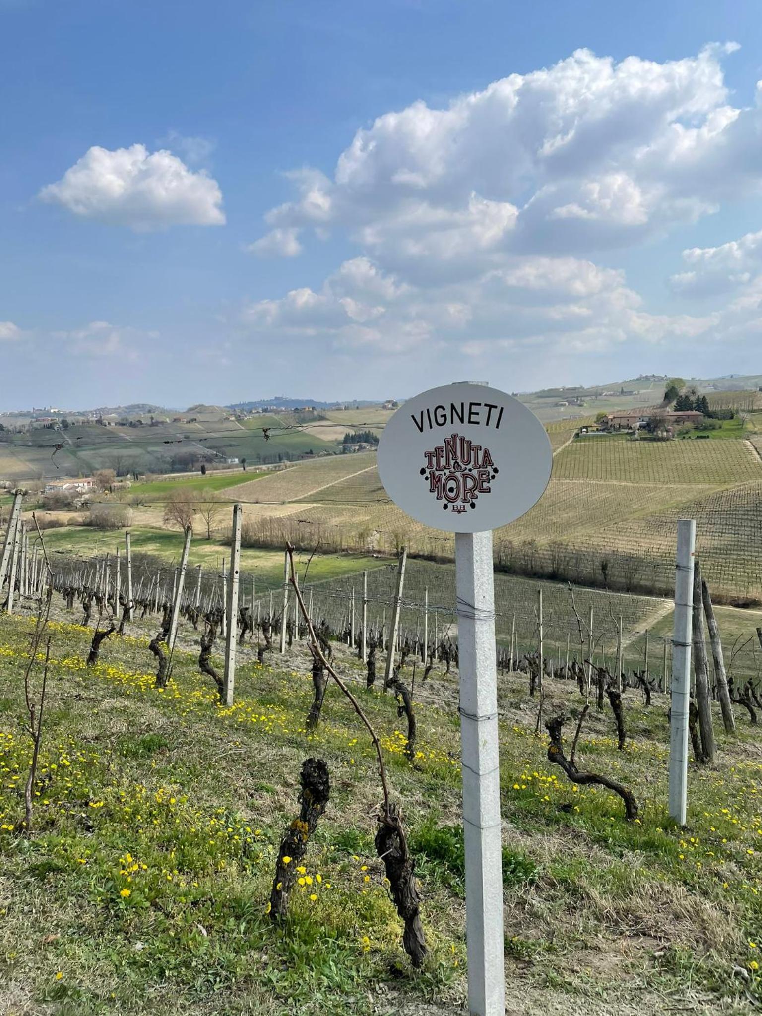 Tenuta Le More