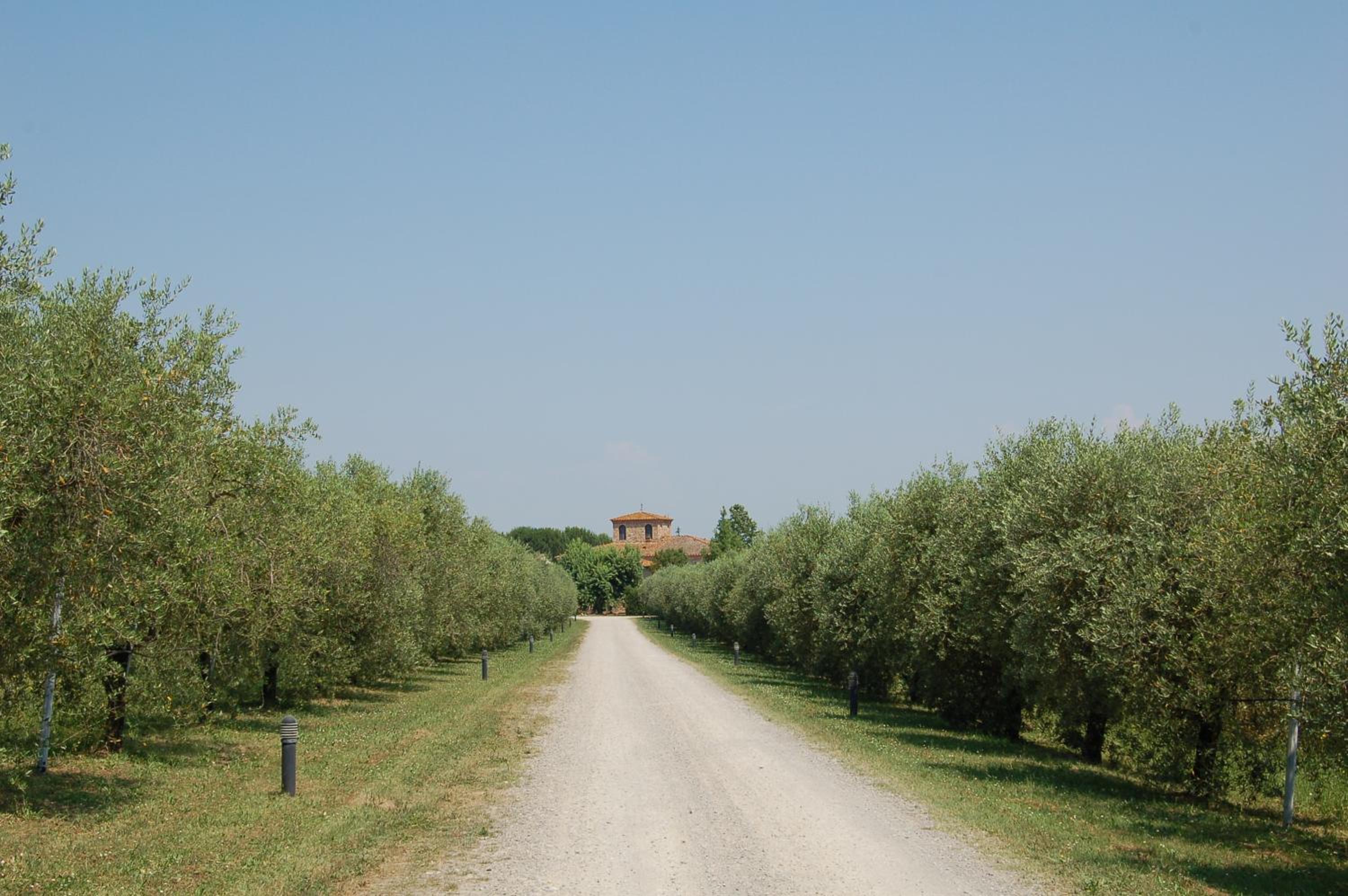 Agriturismo Il Selvino