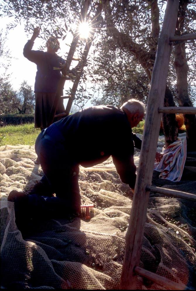 Agriturismo Il Selvino