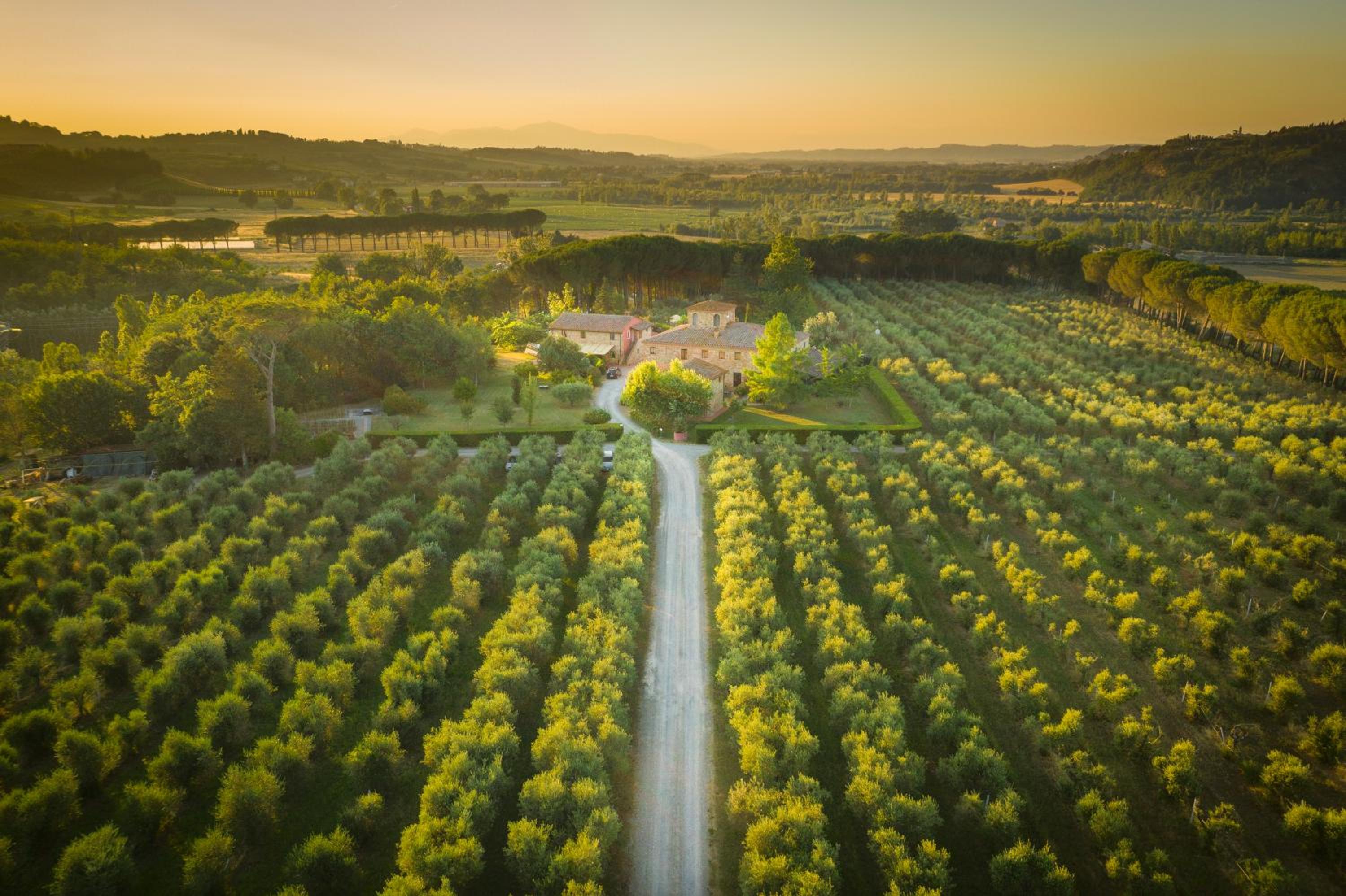 Agriturismo Il Selvino