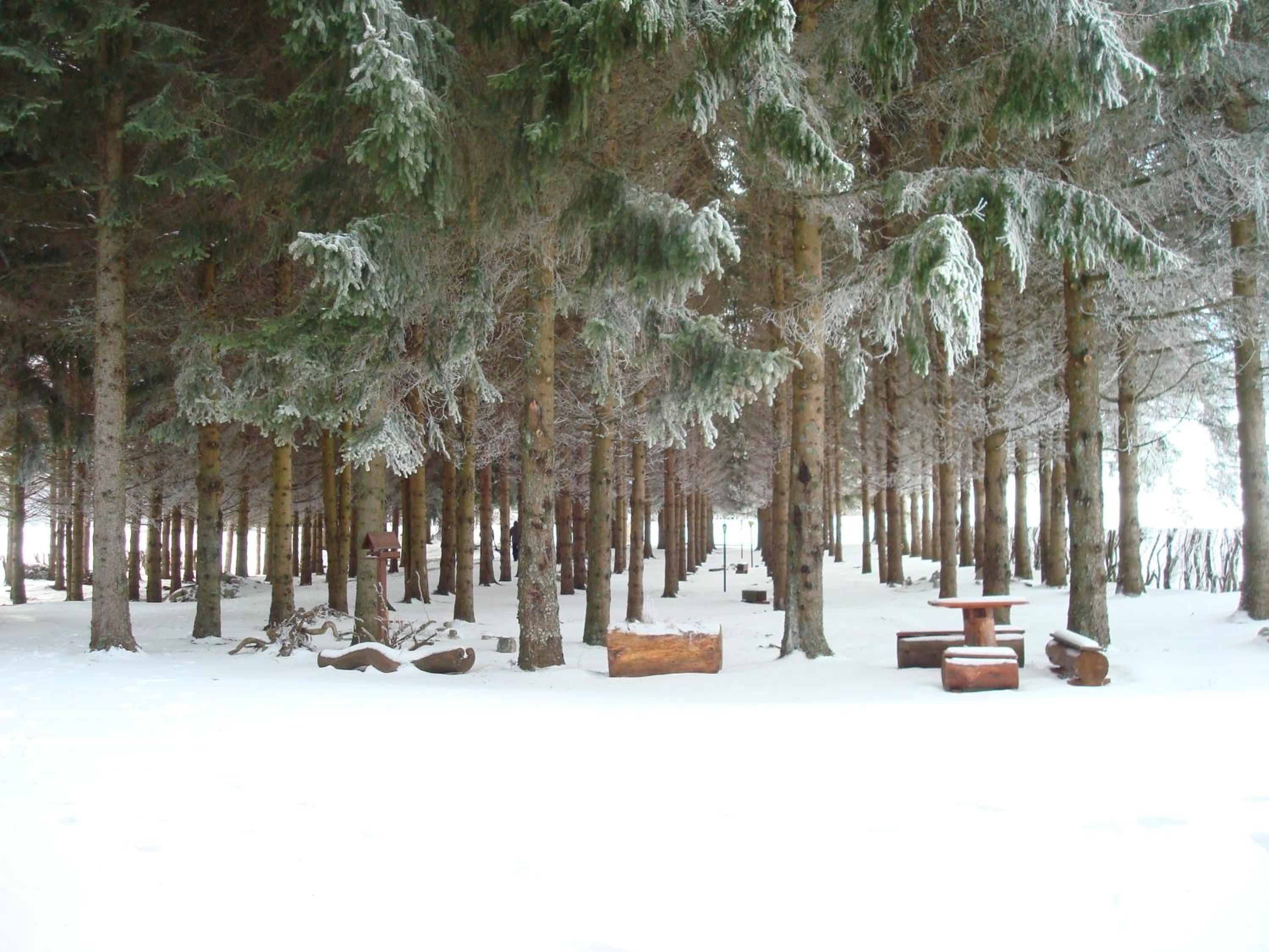Photo 49